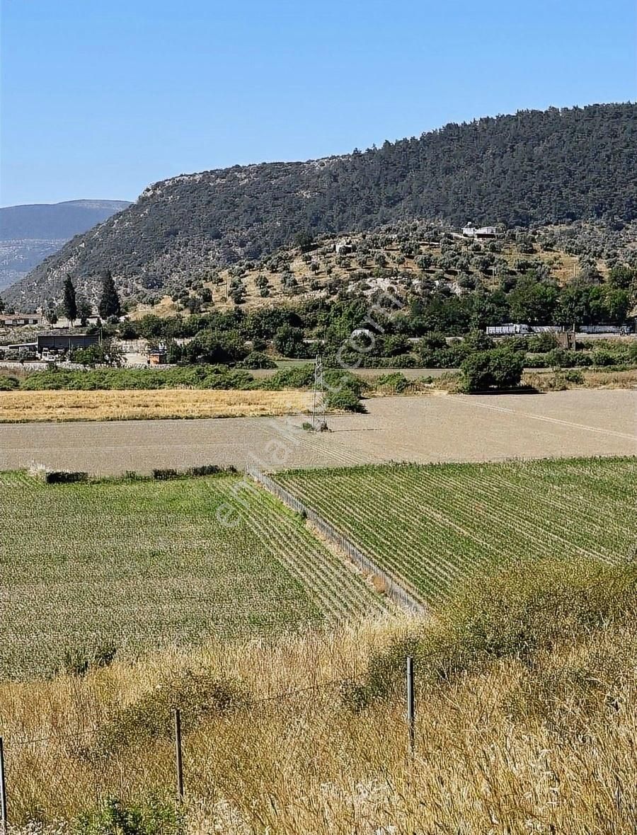 Akbaşlar'dan Milas Merkeze 3 Dk Mesafede Tarla Vasfında - Görsel 29