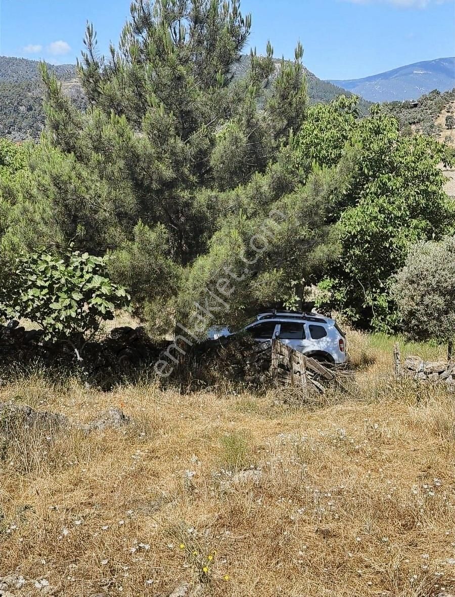 Akbaşlar'dan Milas Merkeze 3 Dk Mesafede Tarla Vasfında - Görsel 12