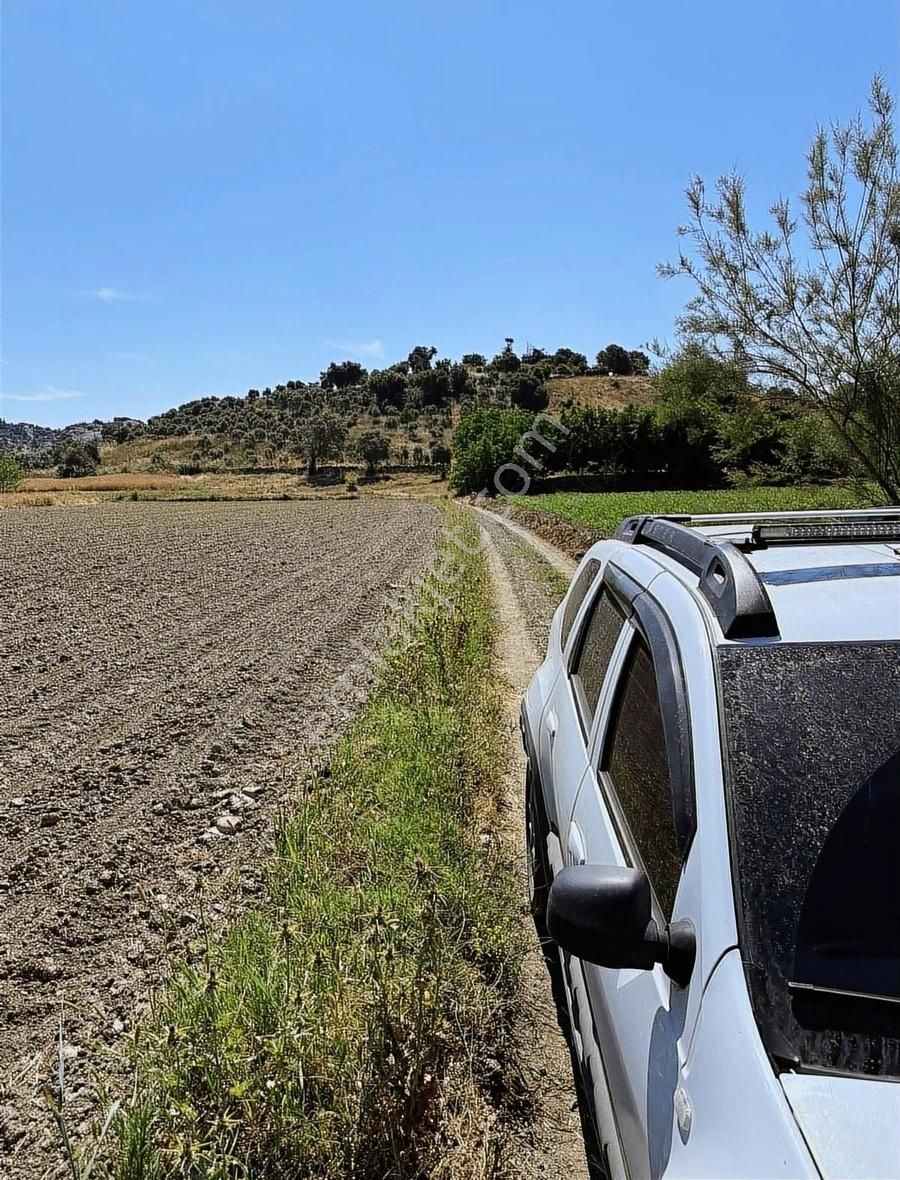 Akbaşlar'dan Milas Merkeze 3 Dk Mesafede Tarla Vasfında
