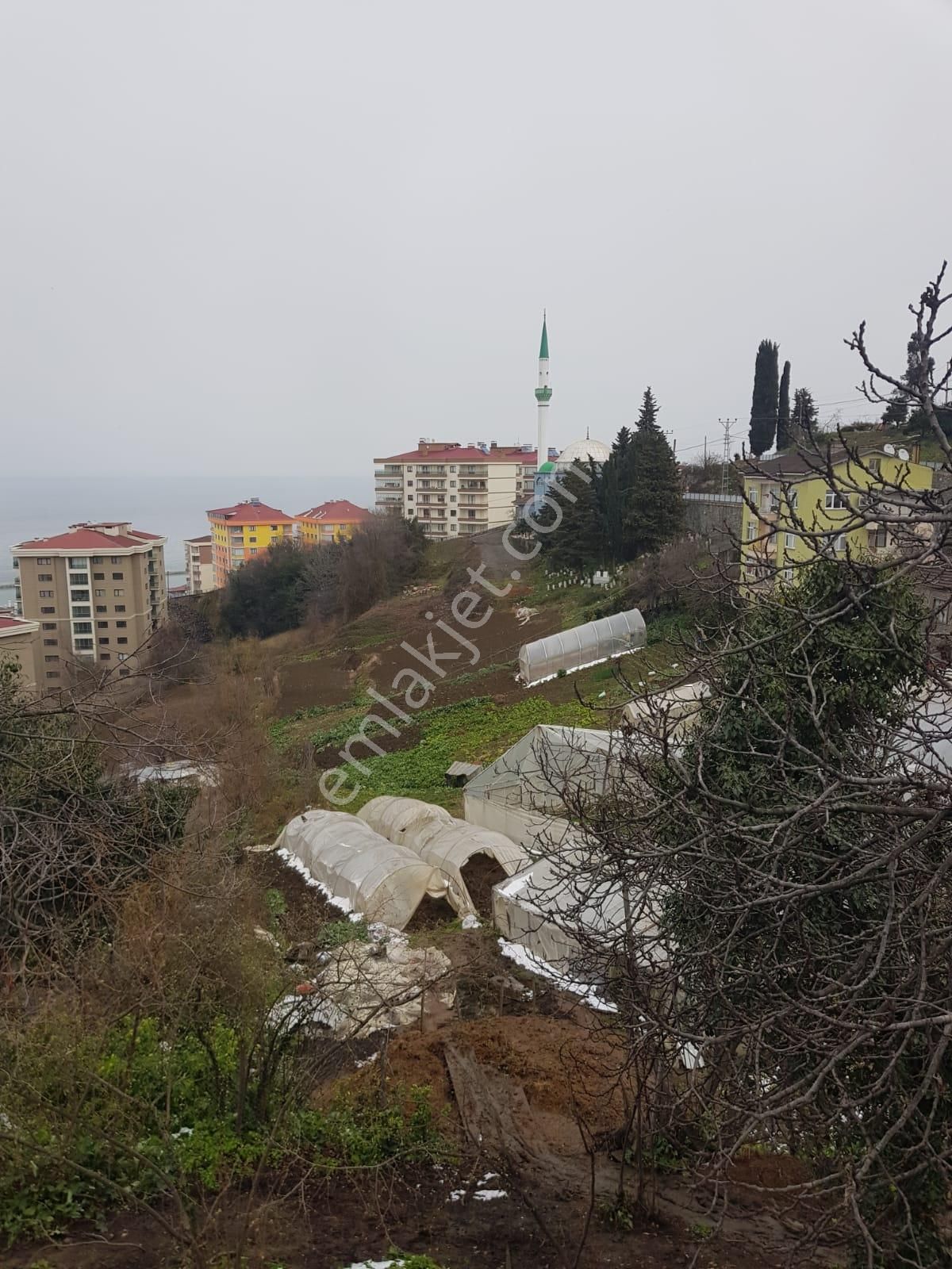 Trabzon Beşirli Satılık 880 M2 İmarlı Arsa