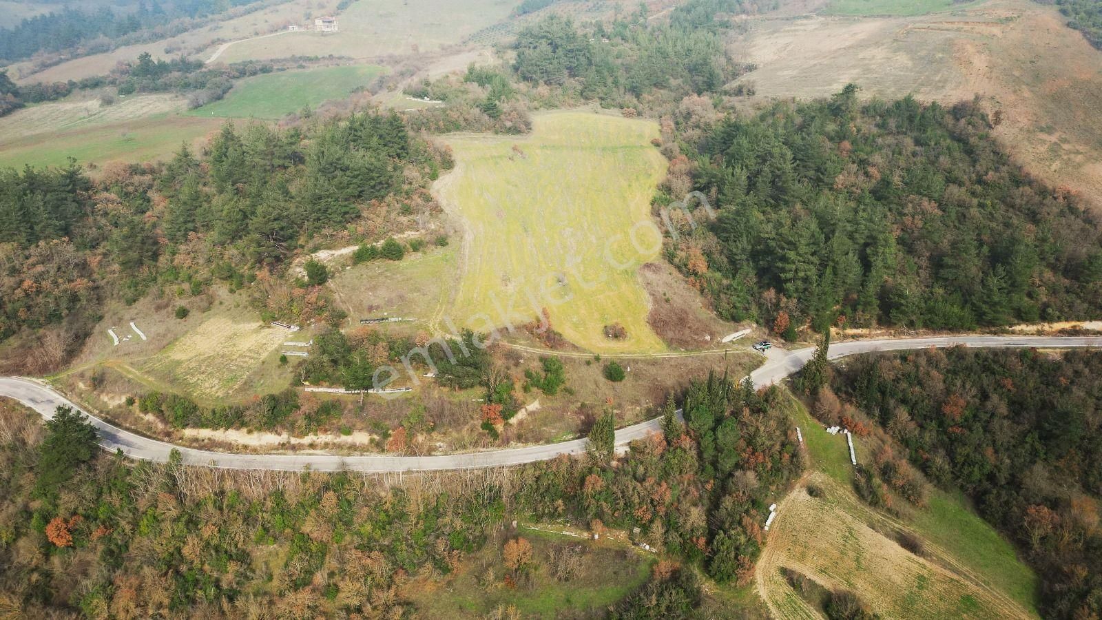Balıkesir Kepsut Dereli Köyü Satılık İmarlı Arsa
