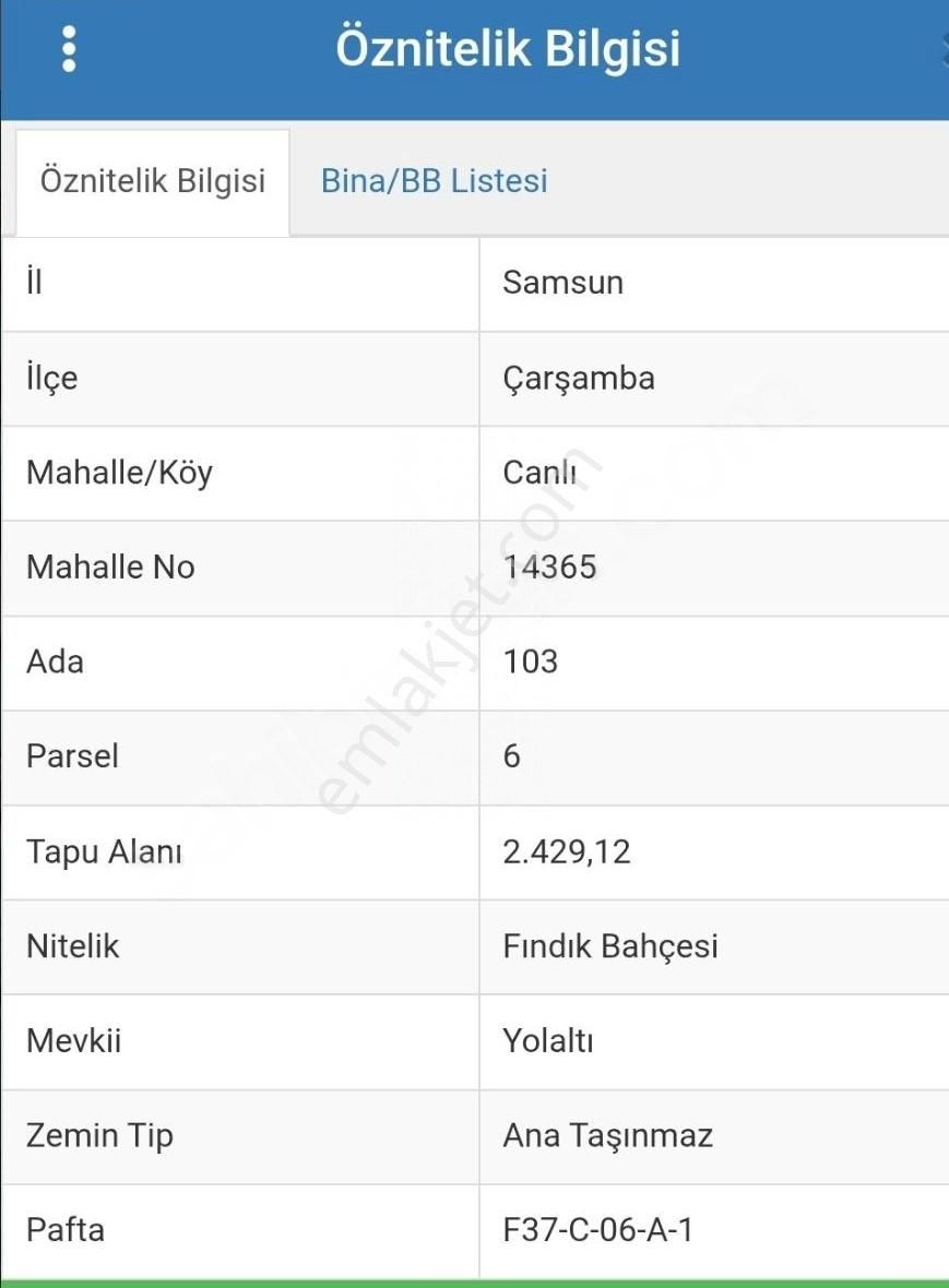 Satılık Fındık Bahçesi - Görsel 13