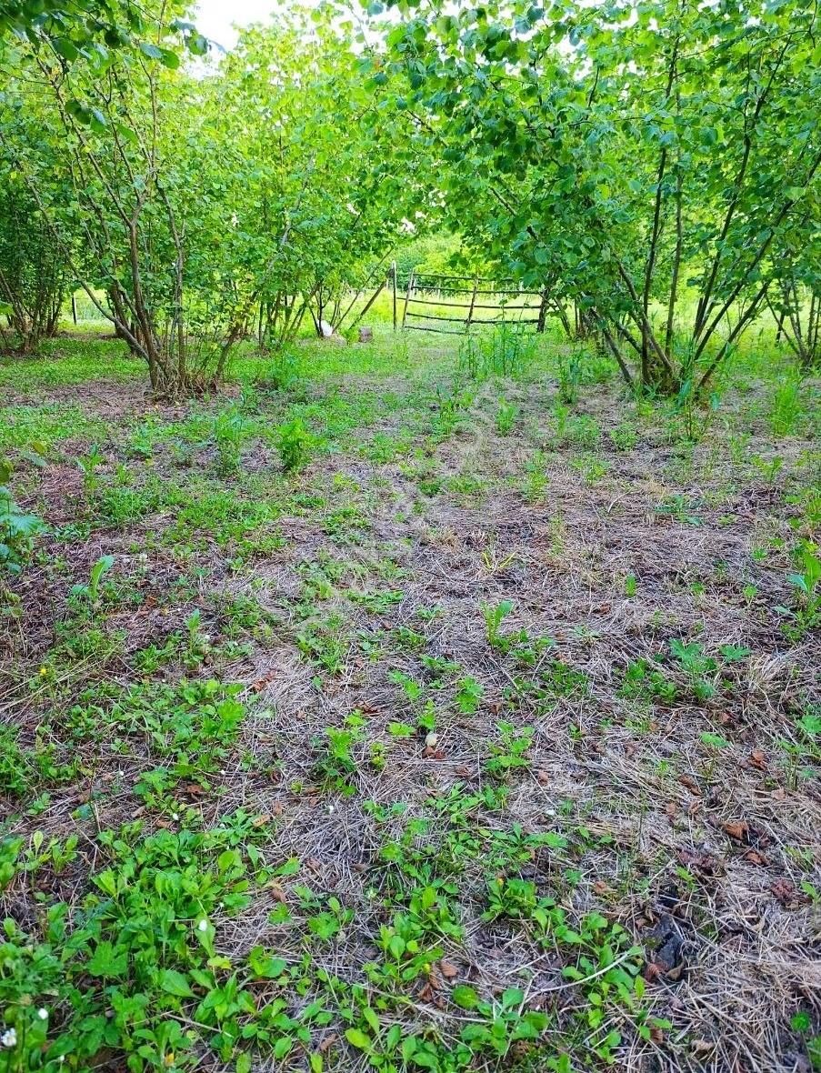 Satılık Fındık Bahçesi - Görsel 10