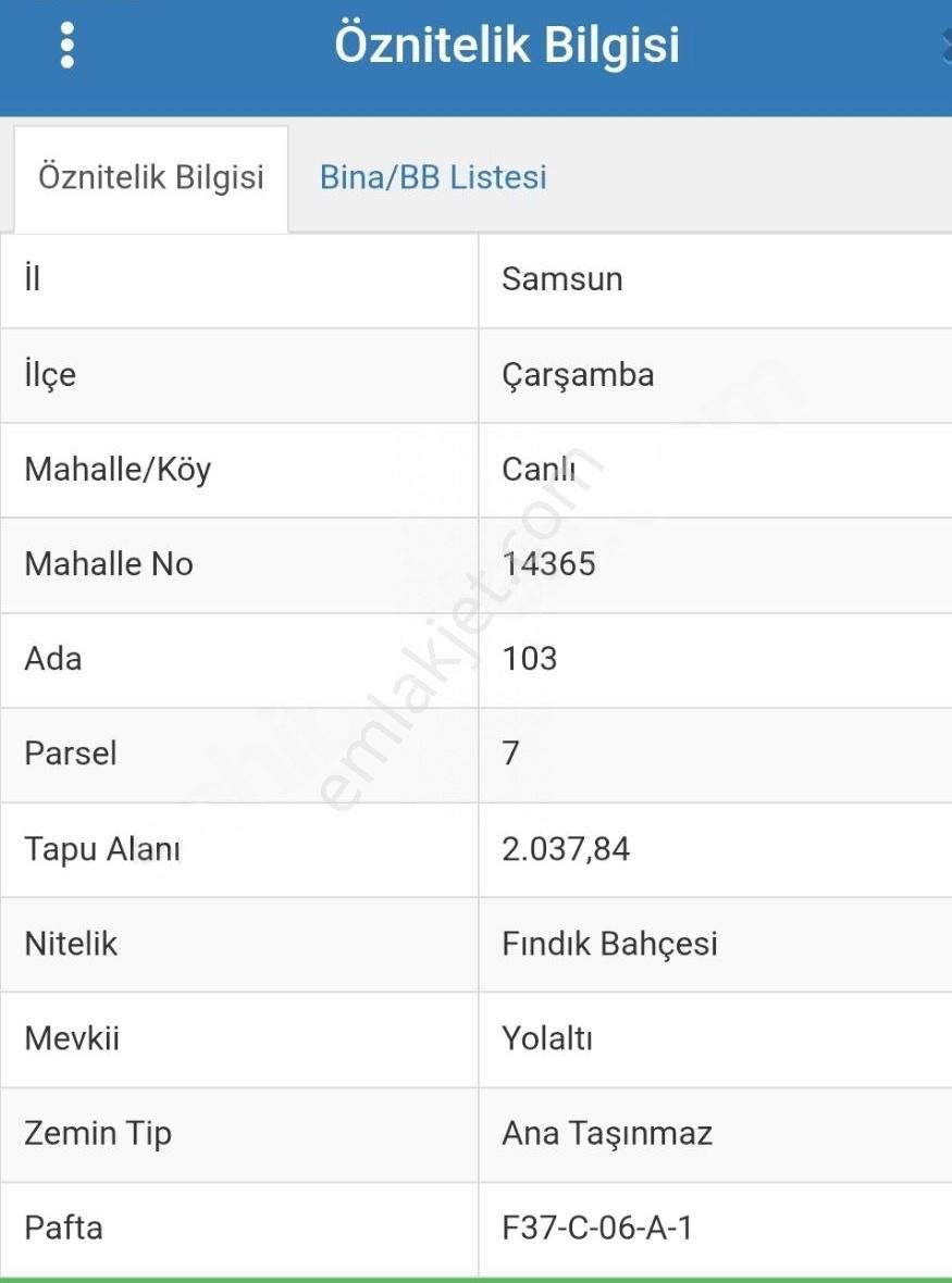 Satılık Fındık Bahçesi - Görsel 7