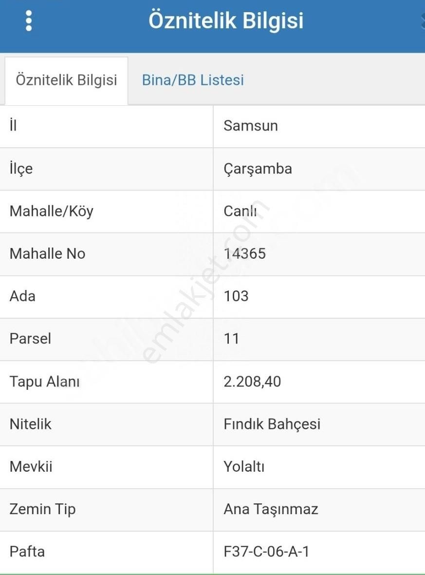 Satılık Fındık Bahçesi - Görsel 18