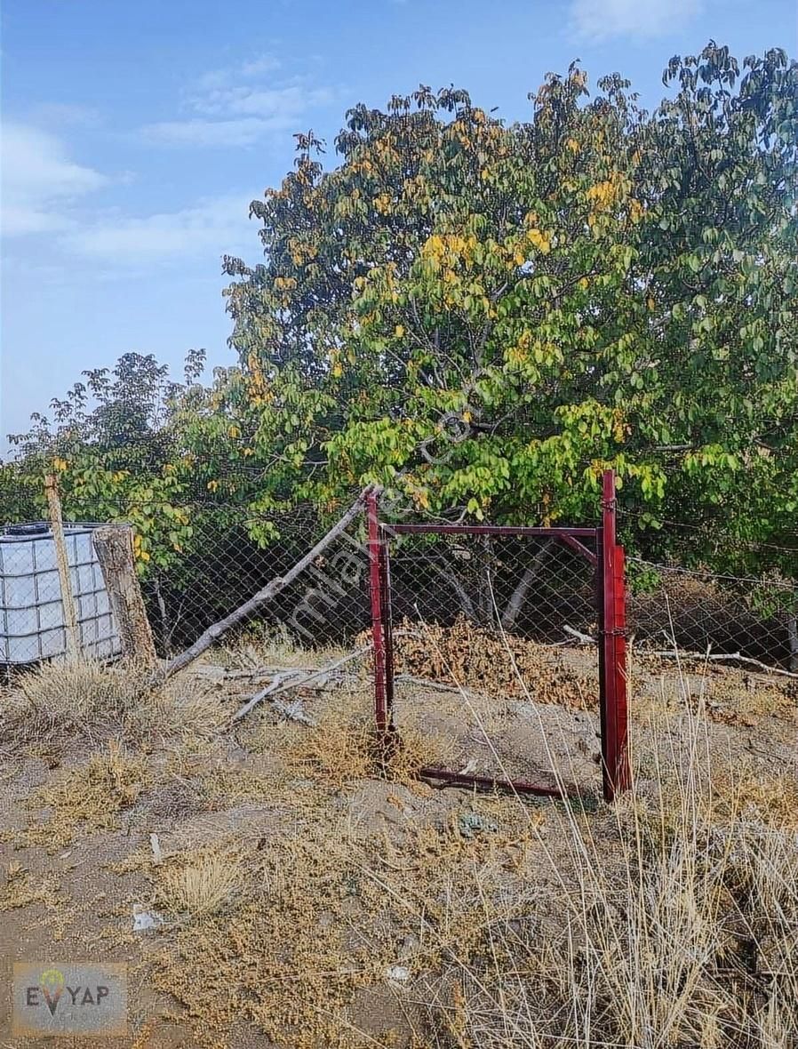 Satılık Bahçe