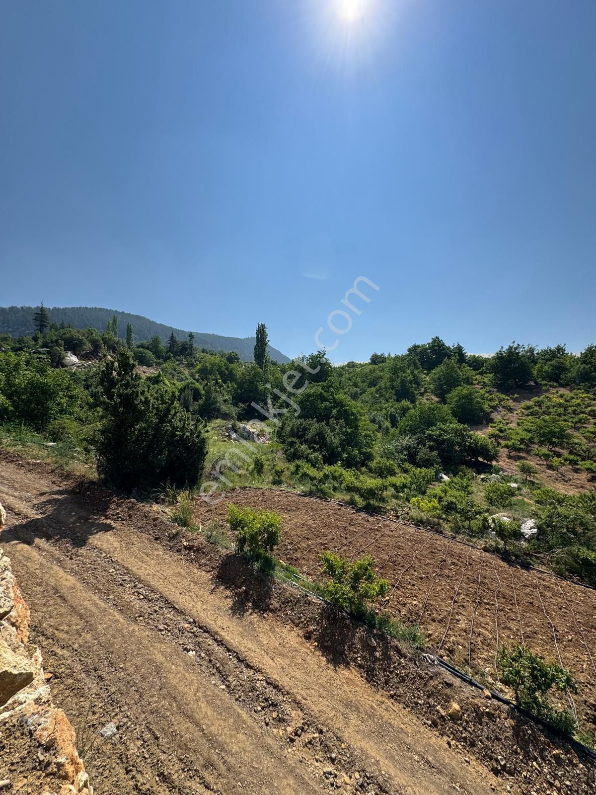 Toroslar Değnek Yaylası’nda Satılık 2230 M² Tek Tapulu Arazi – Manzaralı, Yatırıma Uygun - Görsel 28