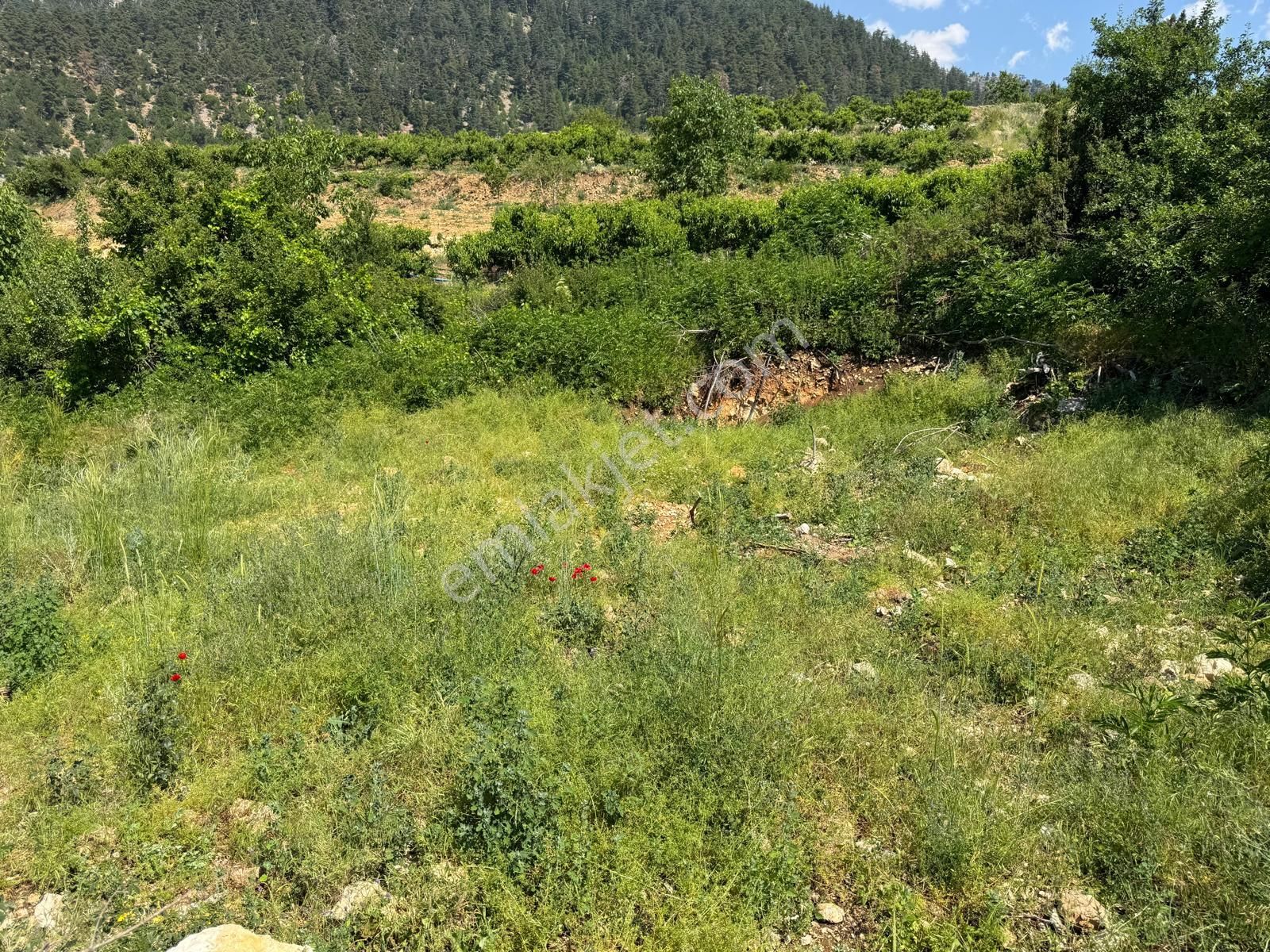 Toroslar Değnek Yaylası’nda Satılık 2230 M² Tek Tapulu Arazi – Manzaralı, Yatırıma Uygun - Görsel 19