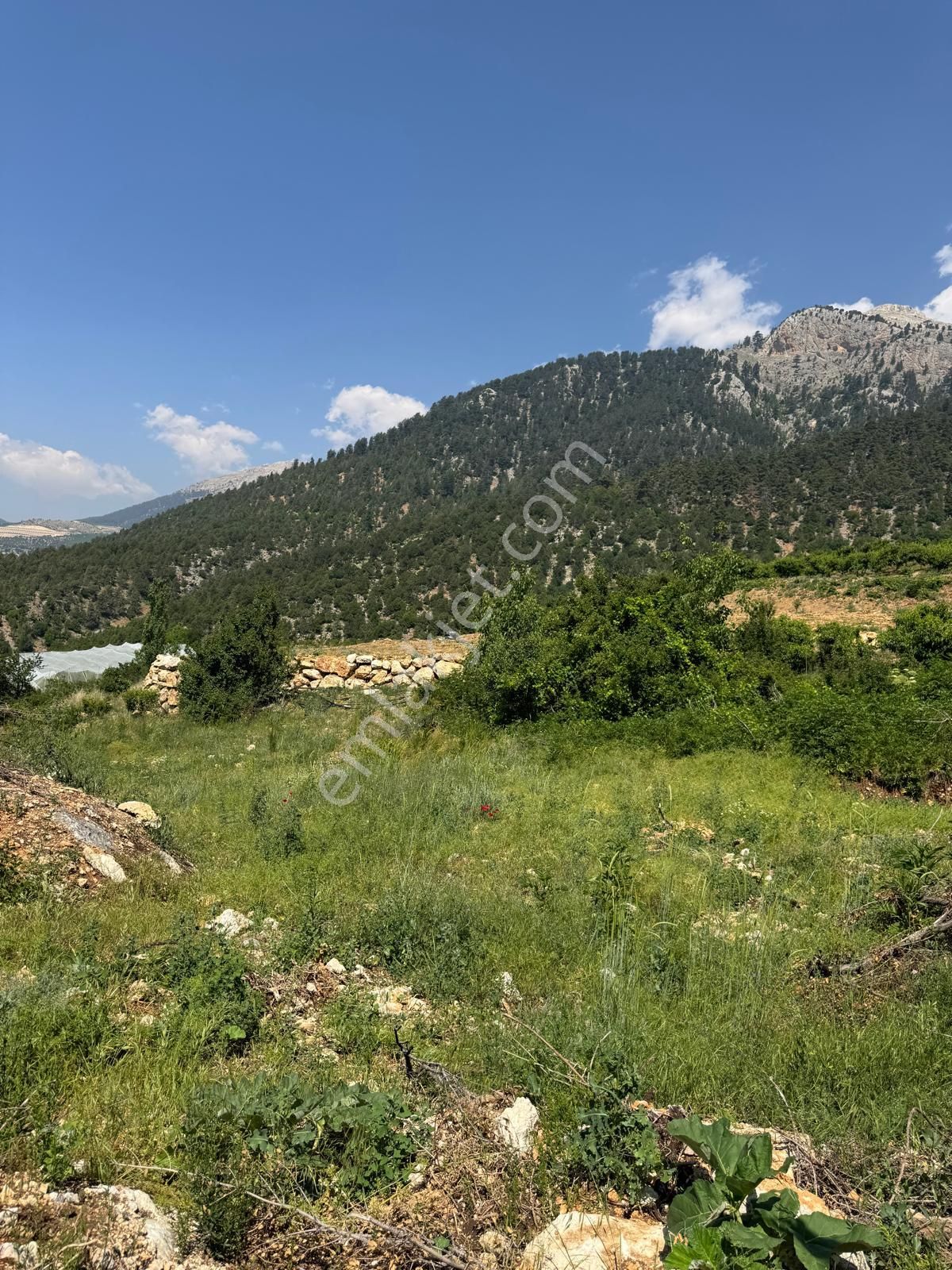 Toroslar Değnek Yaylası’nda Satılık 2230 M² Tek Tapulu Arazi – Manzaralı, Yatırıma Uygun - Görsel 23