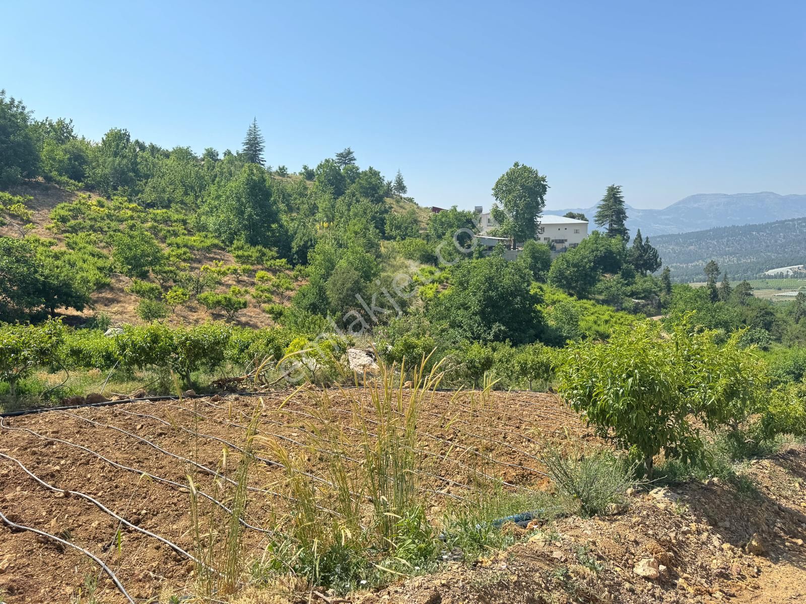 Toroslar Değnek Yaylası’nda Satılık 2230 M² Tek Tapulu Arazi – Manzaralı, Yatırıma Uygun - Görsel 16