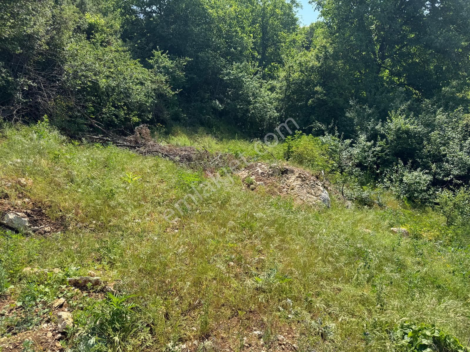 Toroslar Değnek Yaylası’nda Satılık 2230 M² Tek Tapulu Arazi – Manzaralı, Yatırıma Uygun - Görsel 30
