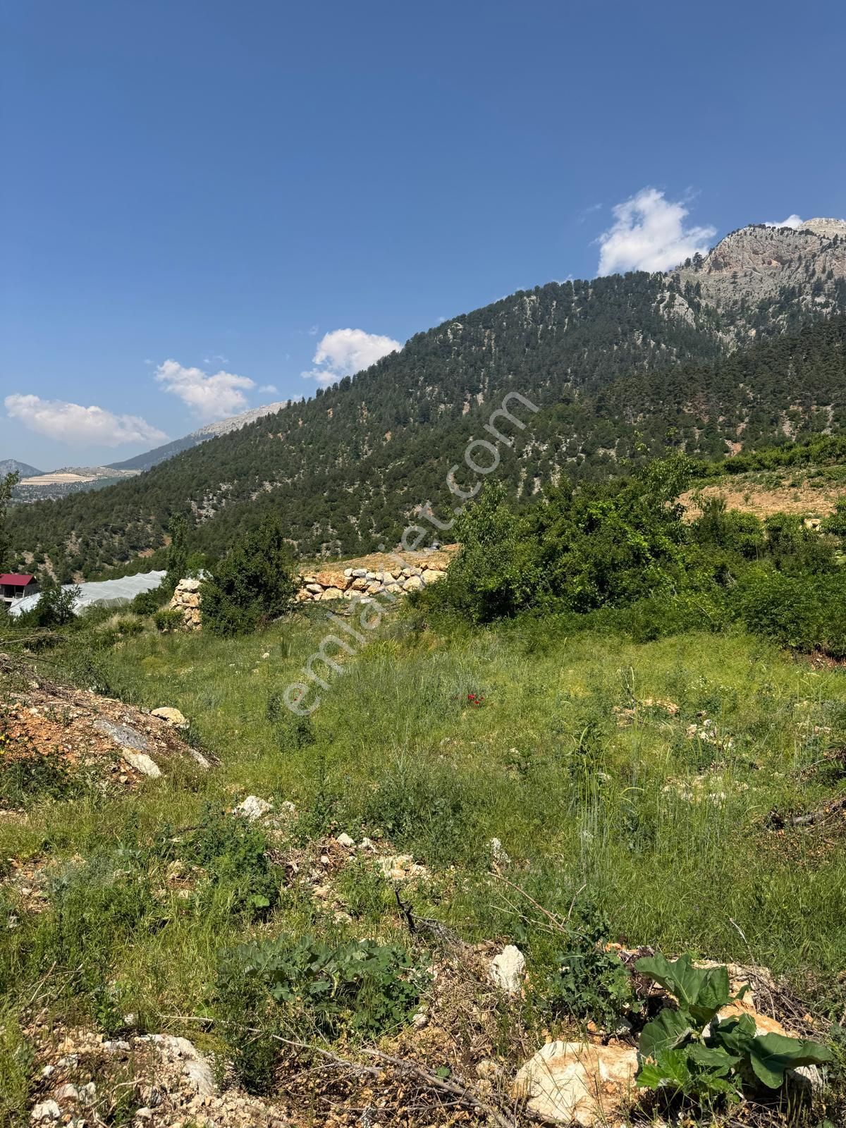 Toroslar Değnek Yaylası’nda Satılık 2230 M² Tek Tapulu Arazi – Manzaralı, Yatırıma Uygun - Görsel 22
