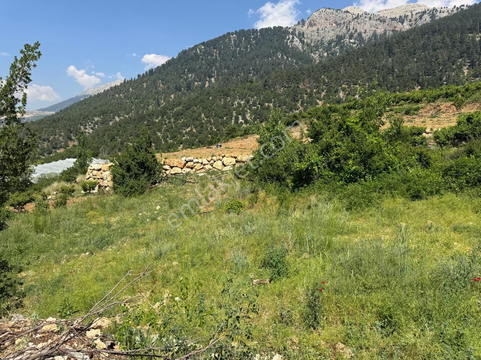 Toroslar Değnek Yaylası’nda Satılık 2230 M² Tek Tapulu Arazi – Manzaralı, Yatırıma Uygun - Görsel 18