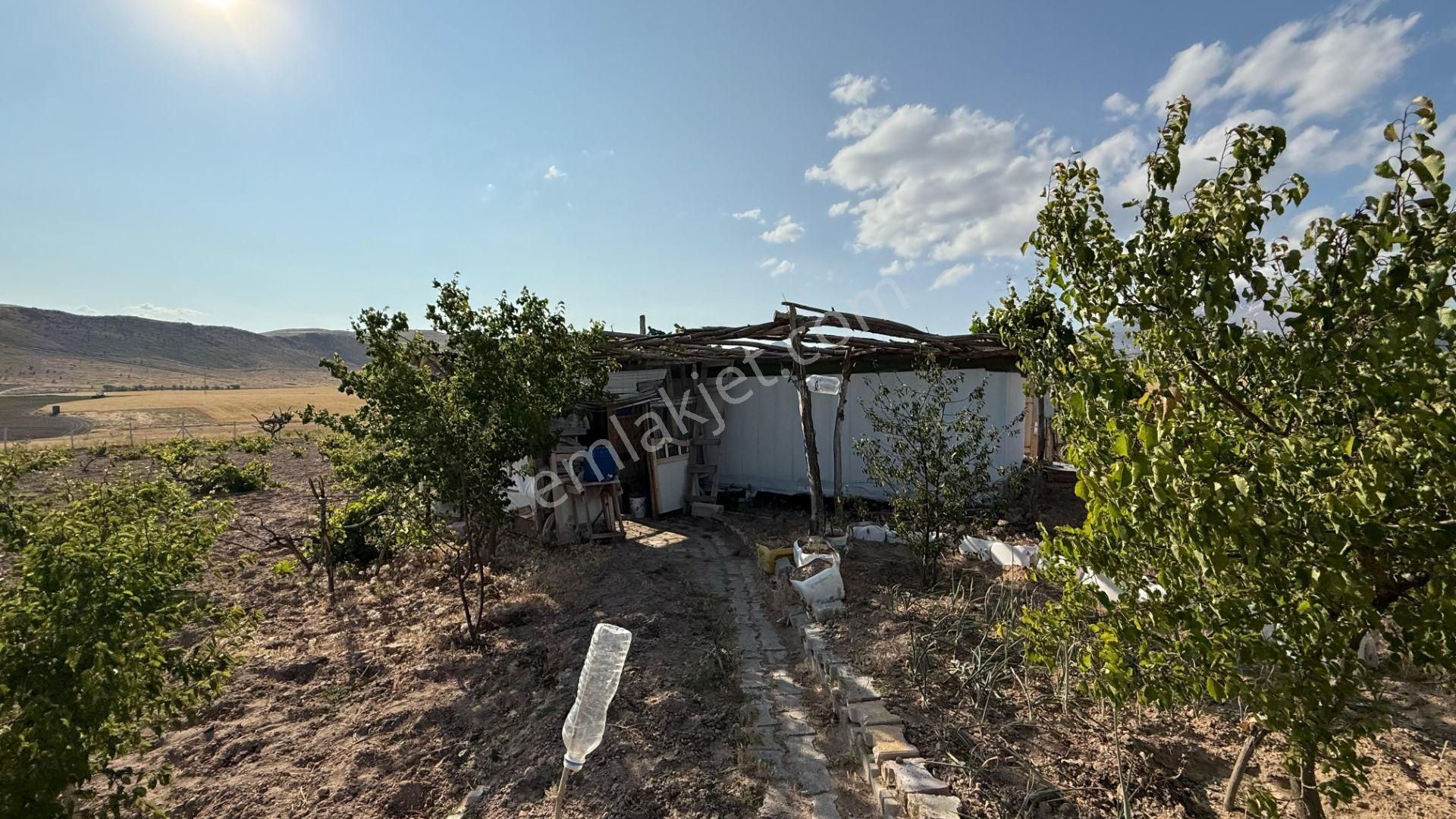 Öz Gaye Emlaktan Develi Güzelce Mevkiinde Satılık Bakımlı Üzüm Bağı - Görsel 10