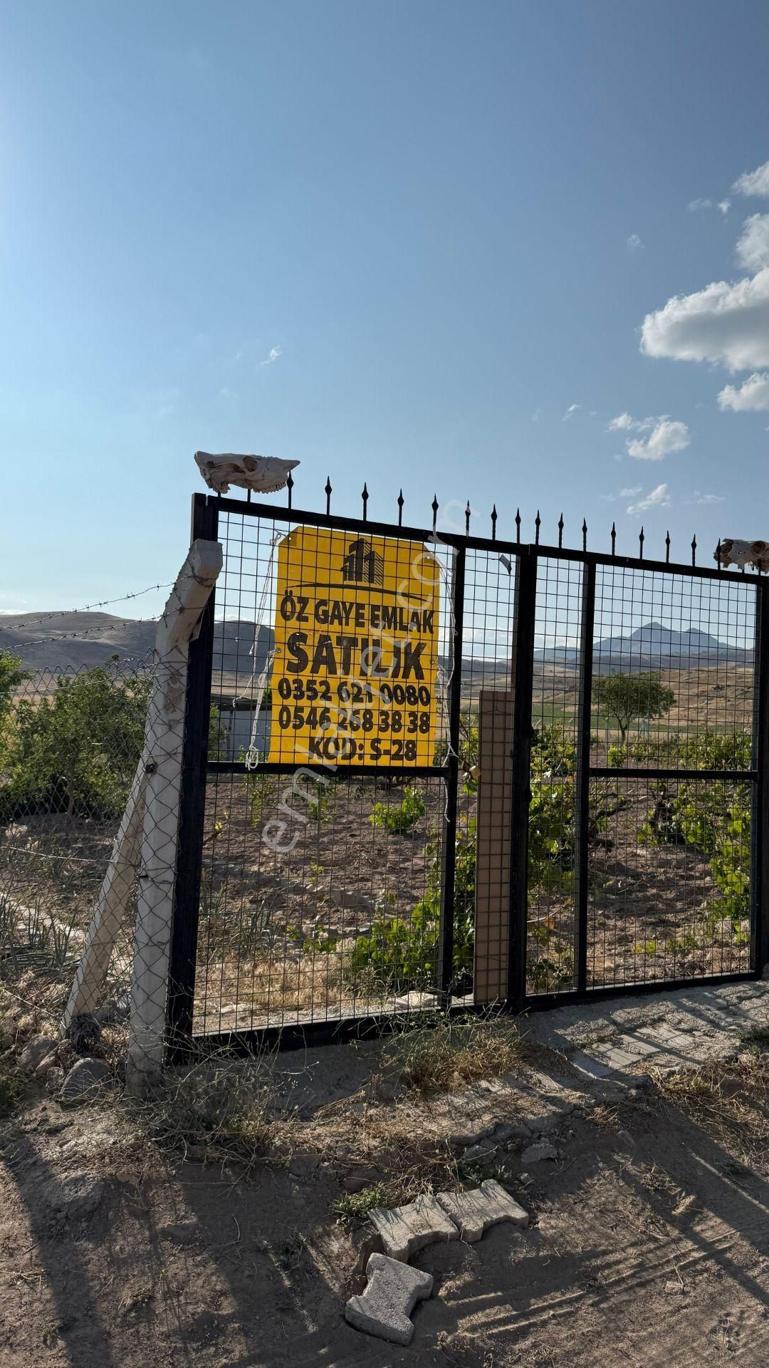 Öz Gaye Emlaktan Develi Güzelce Mevkiinde Satılık Bakımlı Üzüm Bağı - Görsel 13