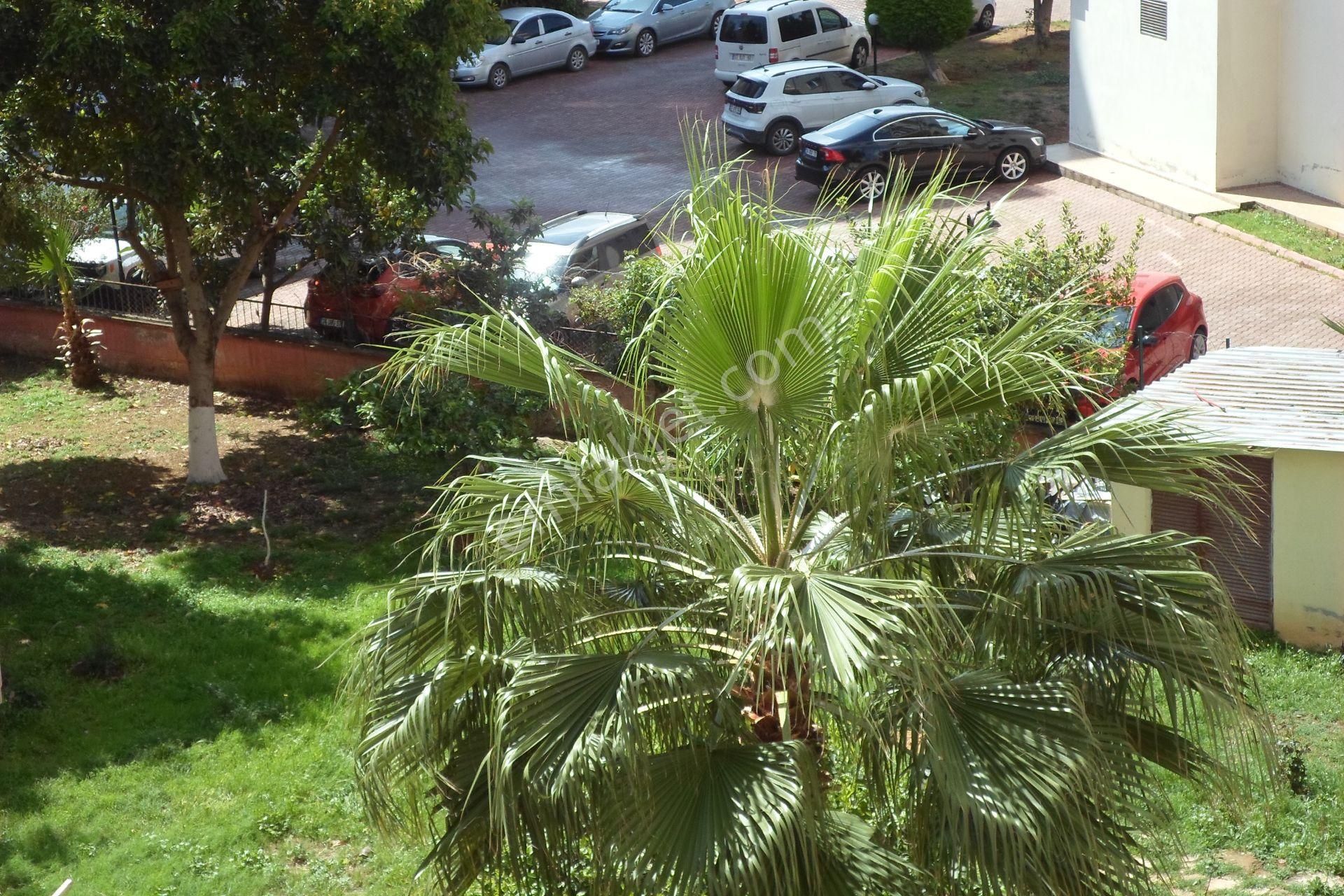 Aylık* 3+1*mezitli Kalbi**kiralık Daire*site*otopark