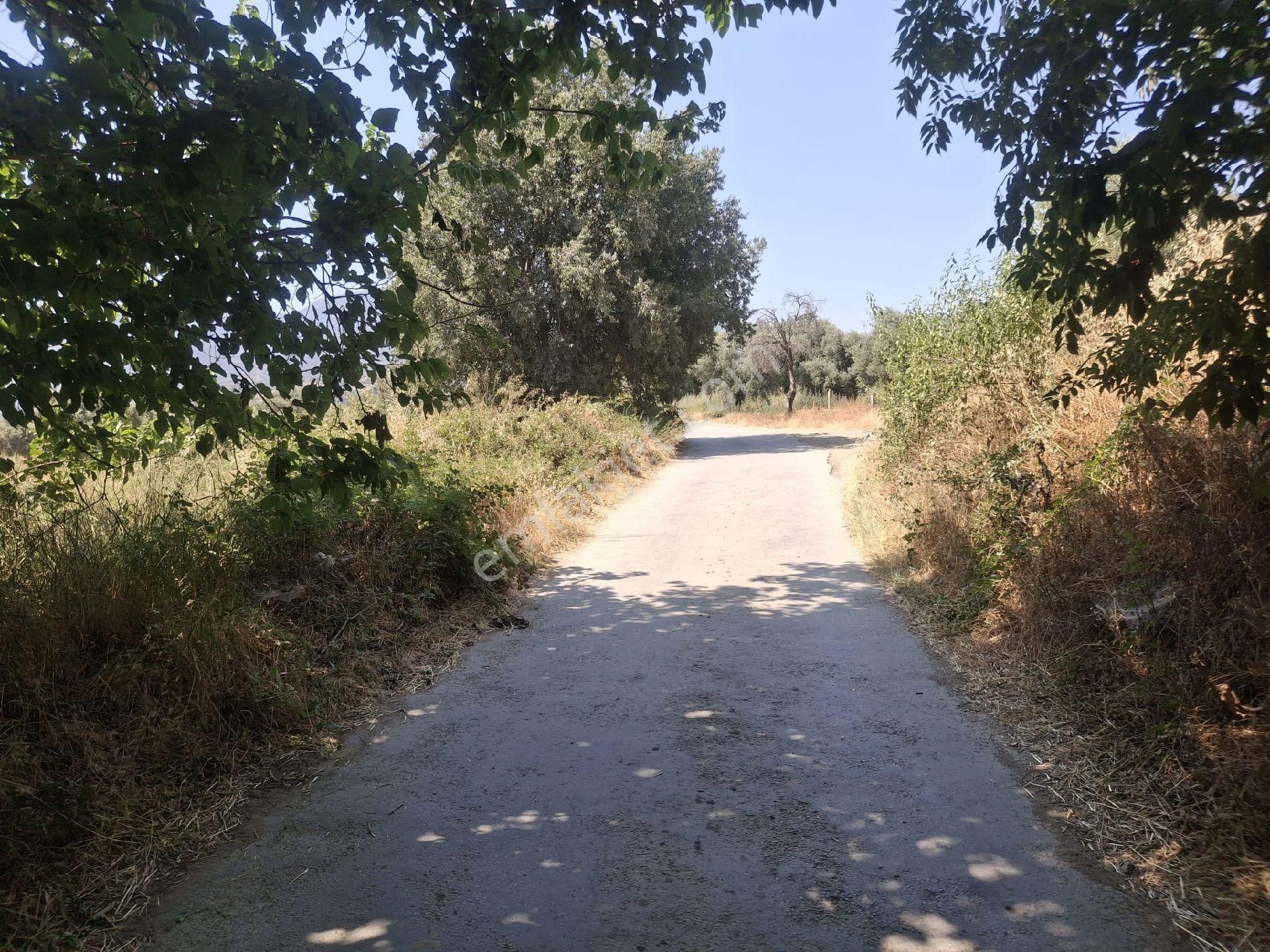 Sultanhisar Hisar Mah Bahçe - Görsel 20