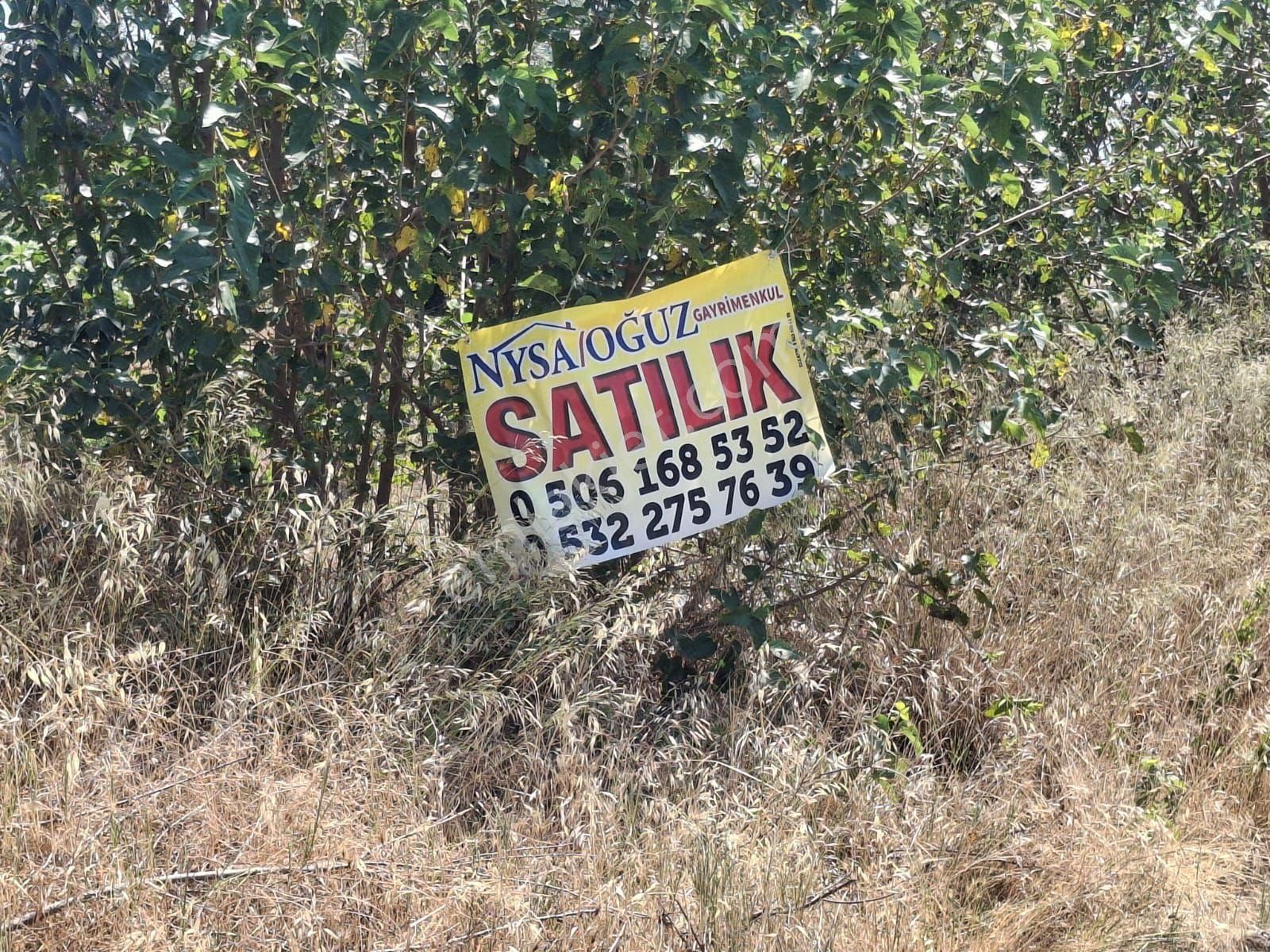 Sultanhisar Hisar Mah Bahçe