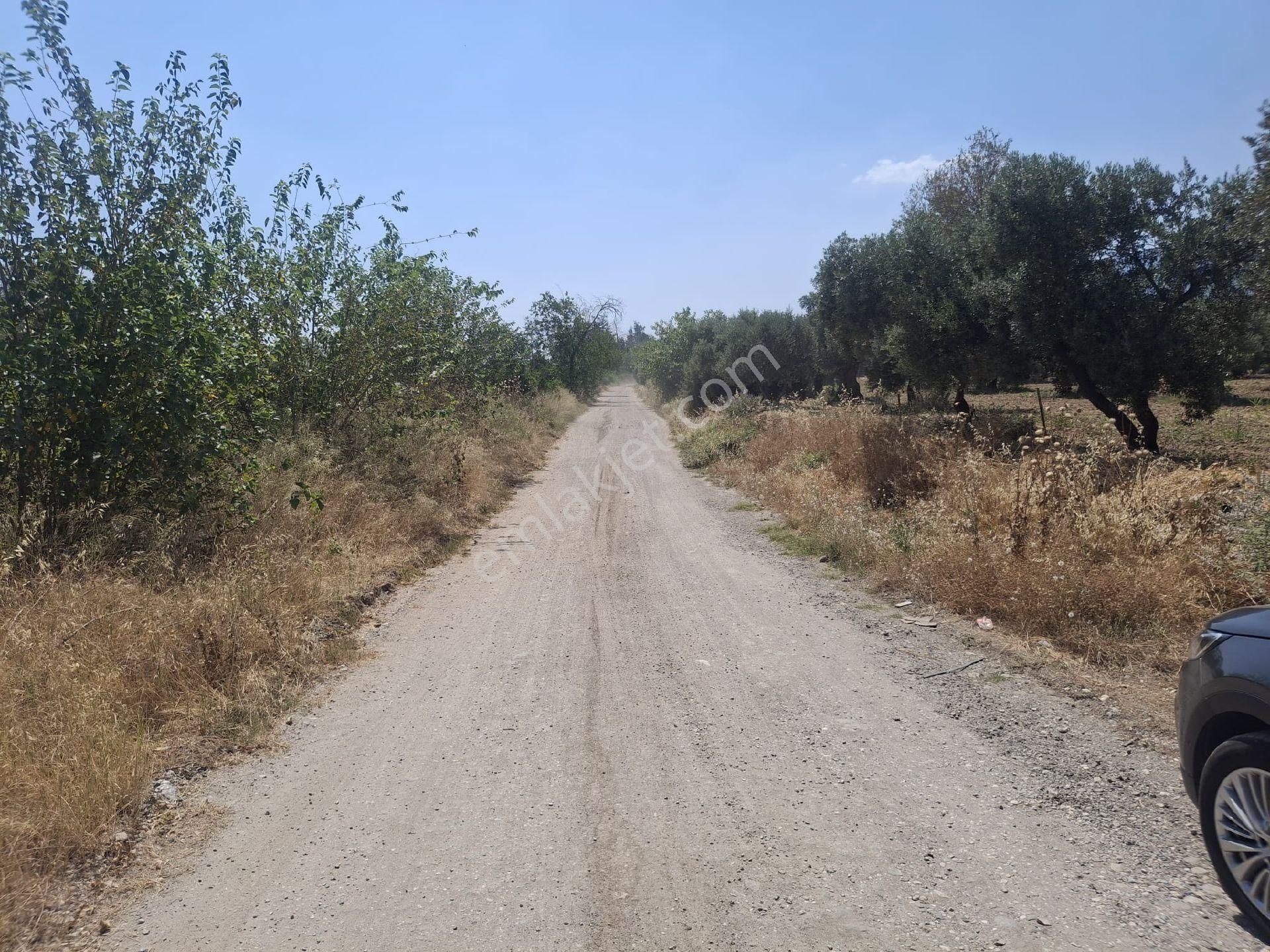 Sultanhisar Hisar Mah Bahçe - Görsel 17