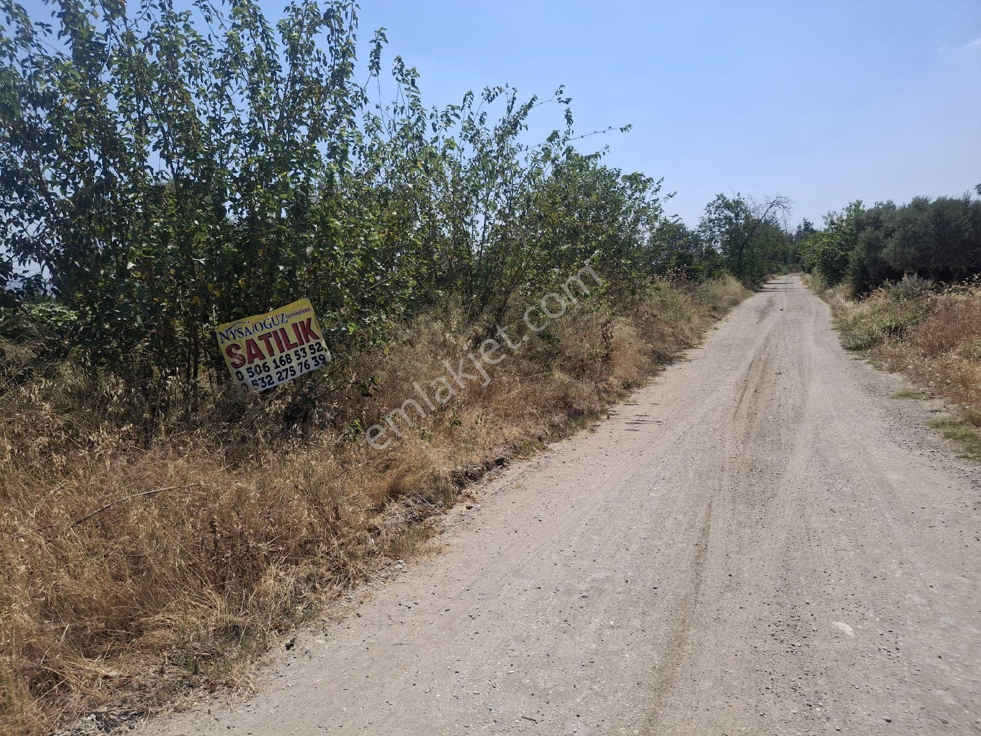 Sultanhisar Hisar Mah Bahçe - Görsel 18