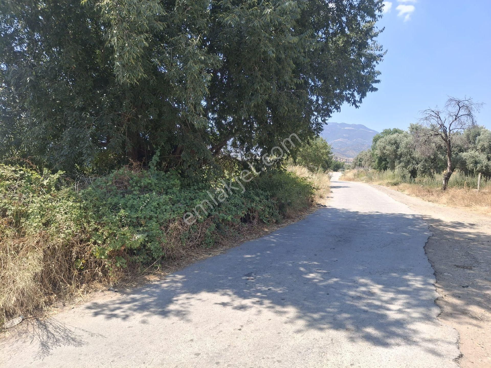 Sultanhisar Hisar Mah Bahçe - Görsel 16