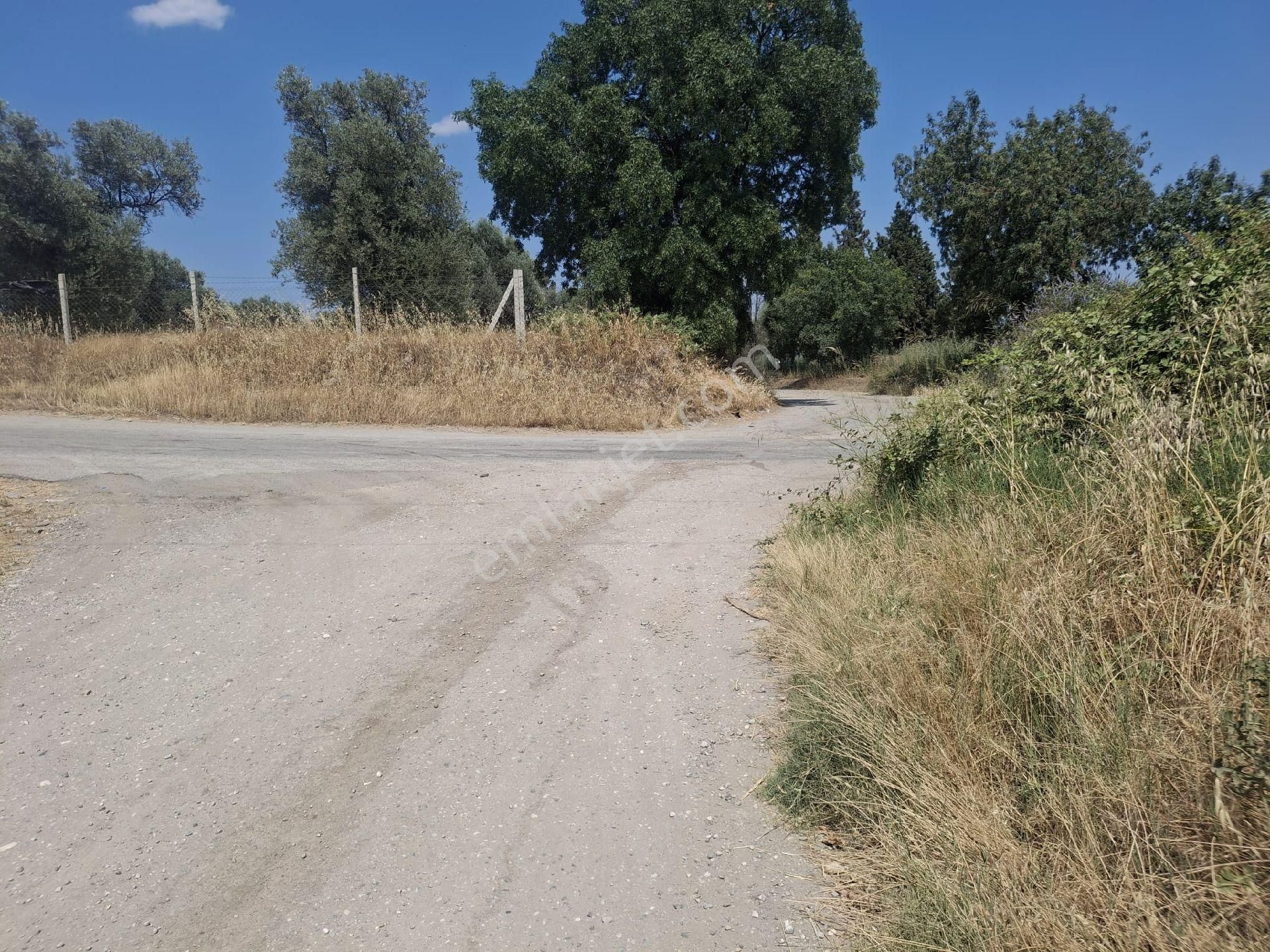 Sultanhisar Hisar Mah Bahçe - Görsel 12