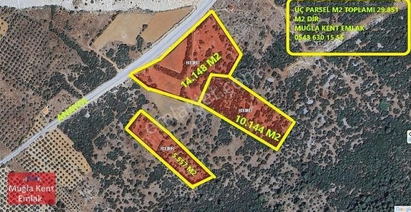 Muğla Kafaca Mah 177 Metre Anayol Cepheli Satılık 30 Dönüm Tarla