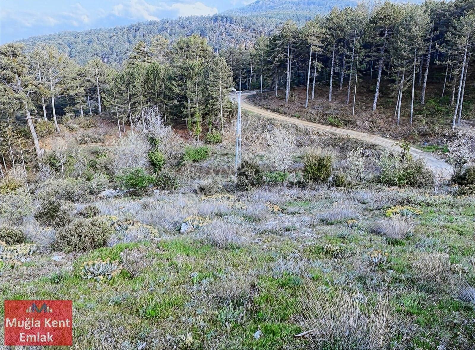 Muğla Kavaklıdere Yaylasında Satılık Doğa Harikası Arazi