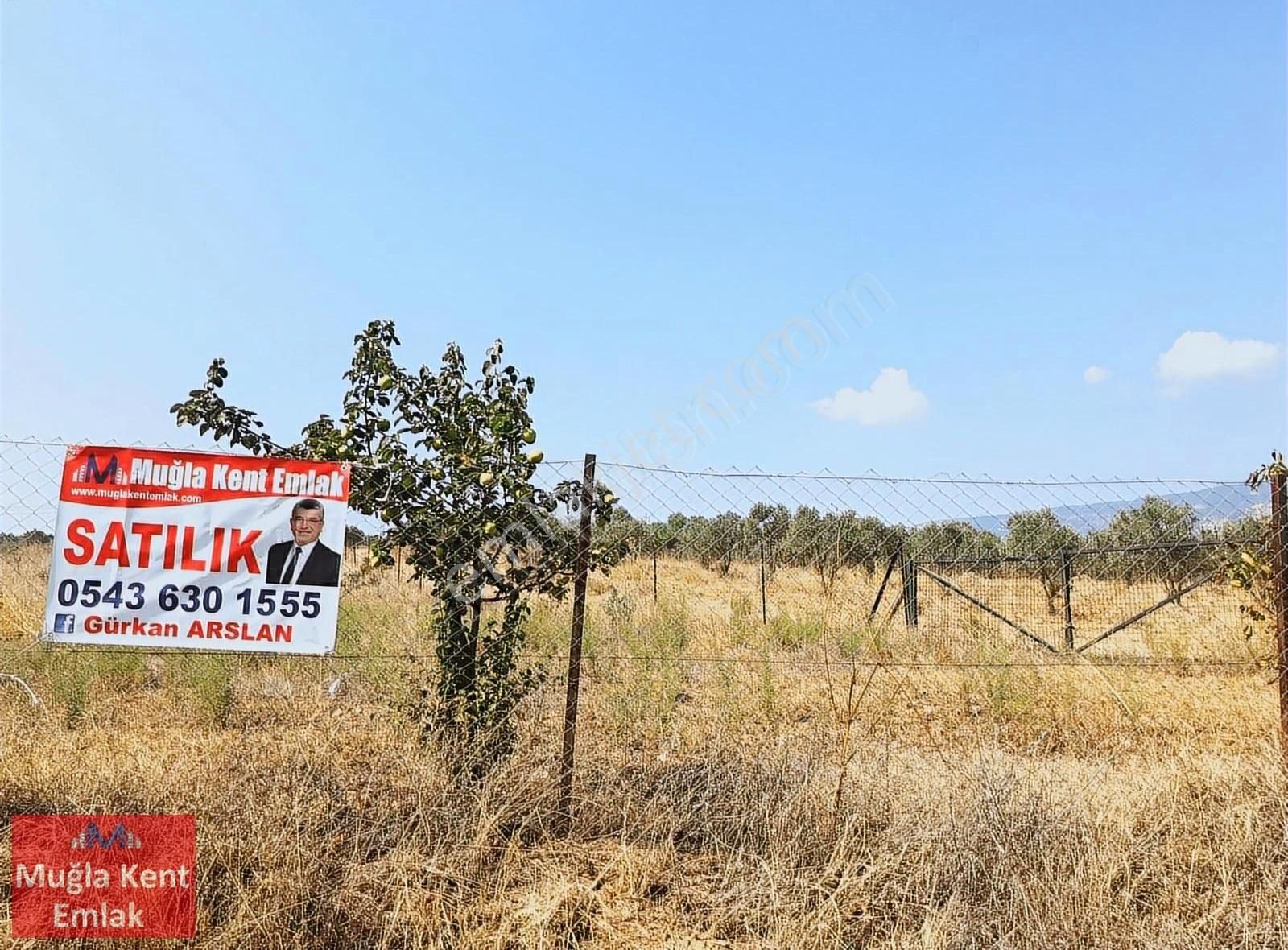 Muğla Yatağan Hisarardı Mahallesinde Köşebaşı Satılık Tarla