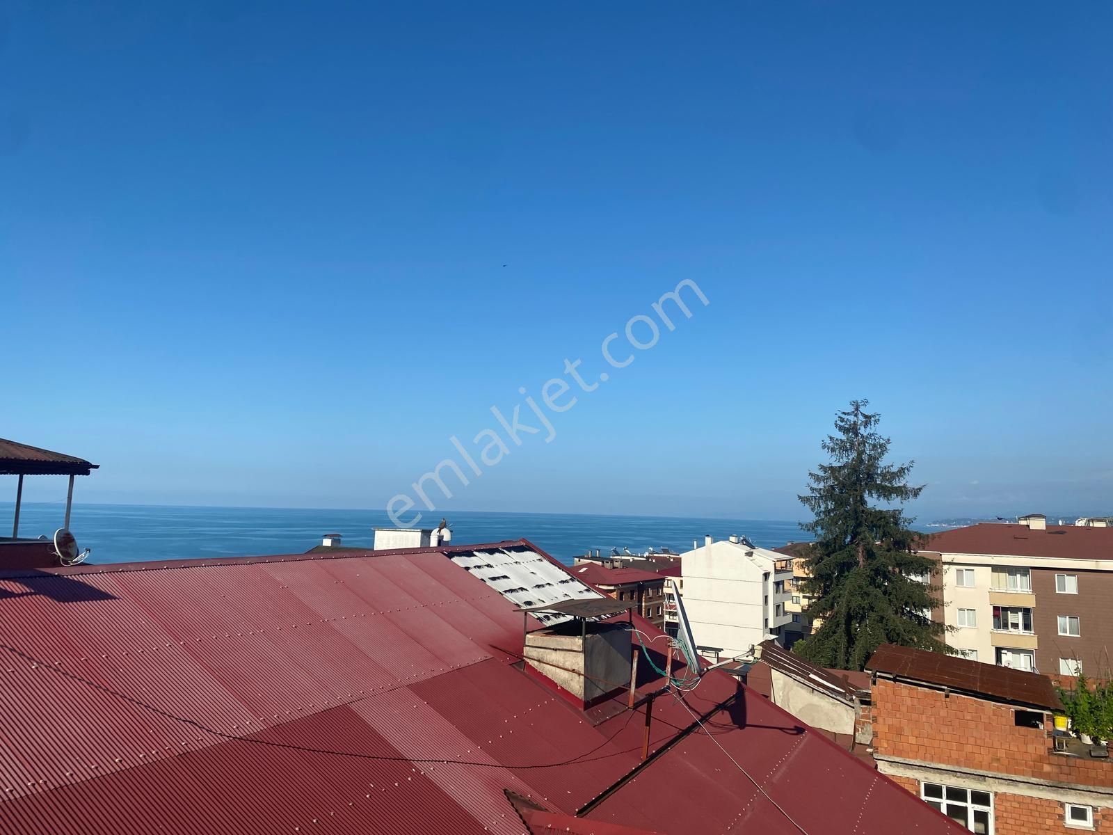 Trabzon Pelitli'de Kiralık Daire