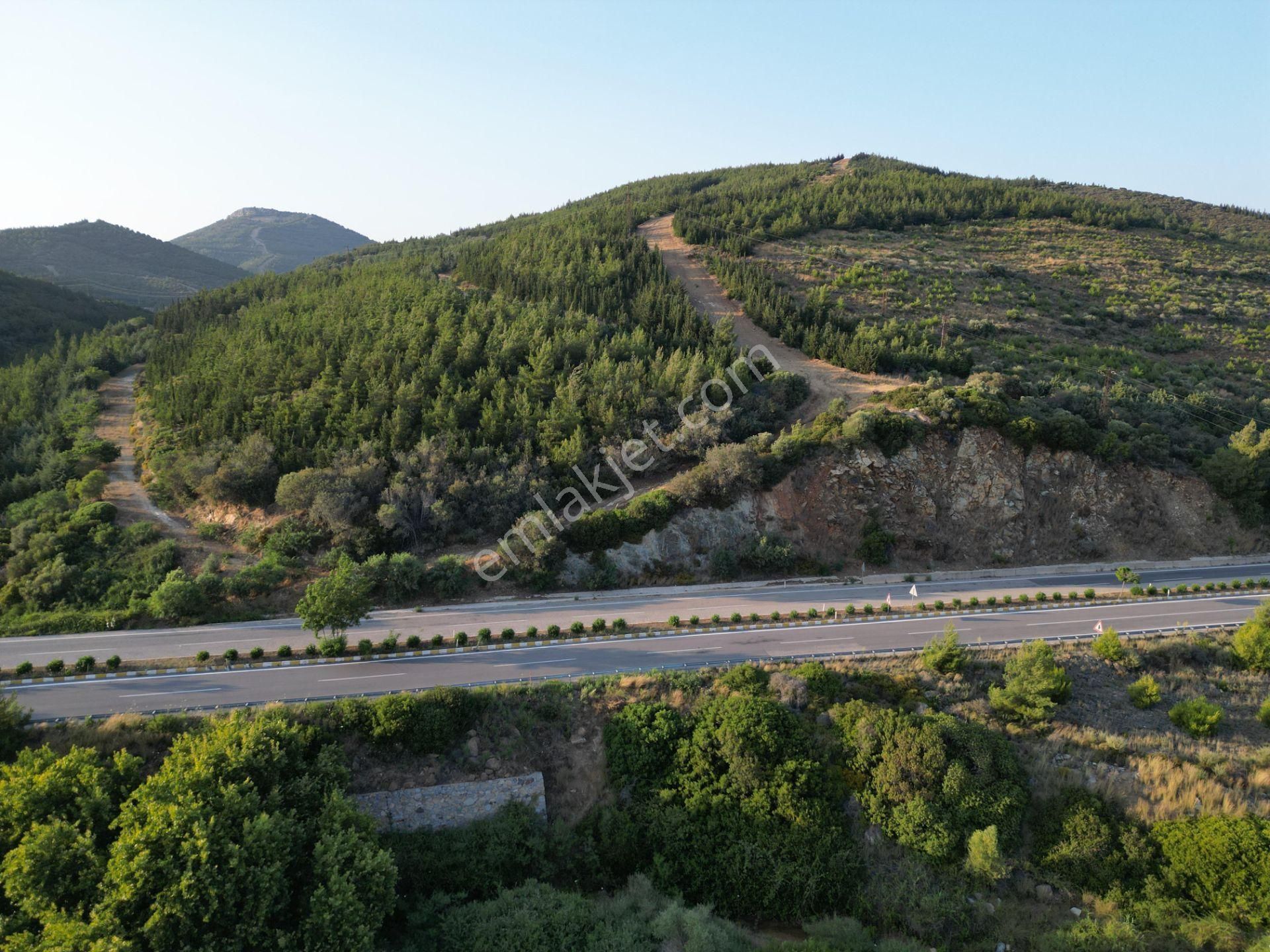 Seferihisar Atatürk Mah. Ürkmez Yolu Ve Denize Yakın Kupon Arsa - Görsel 4