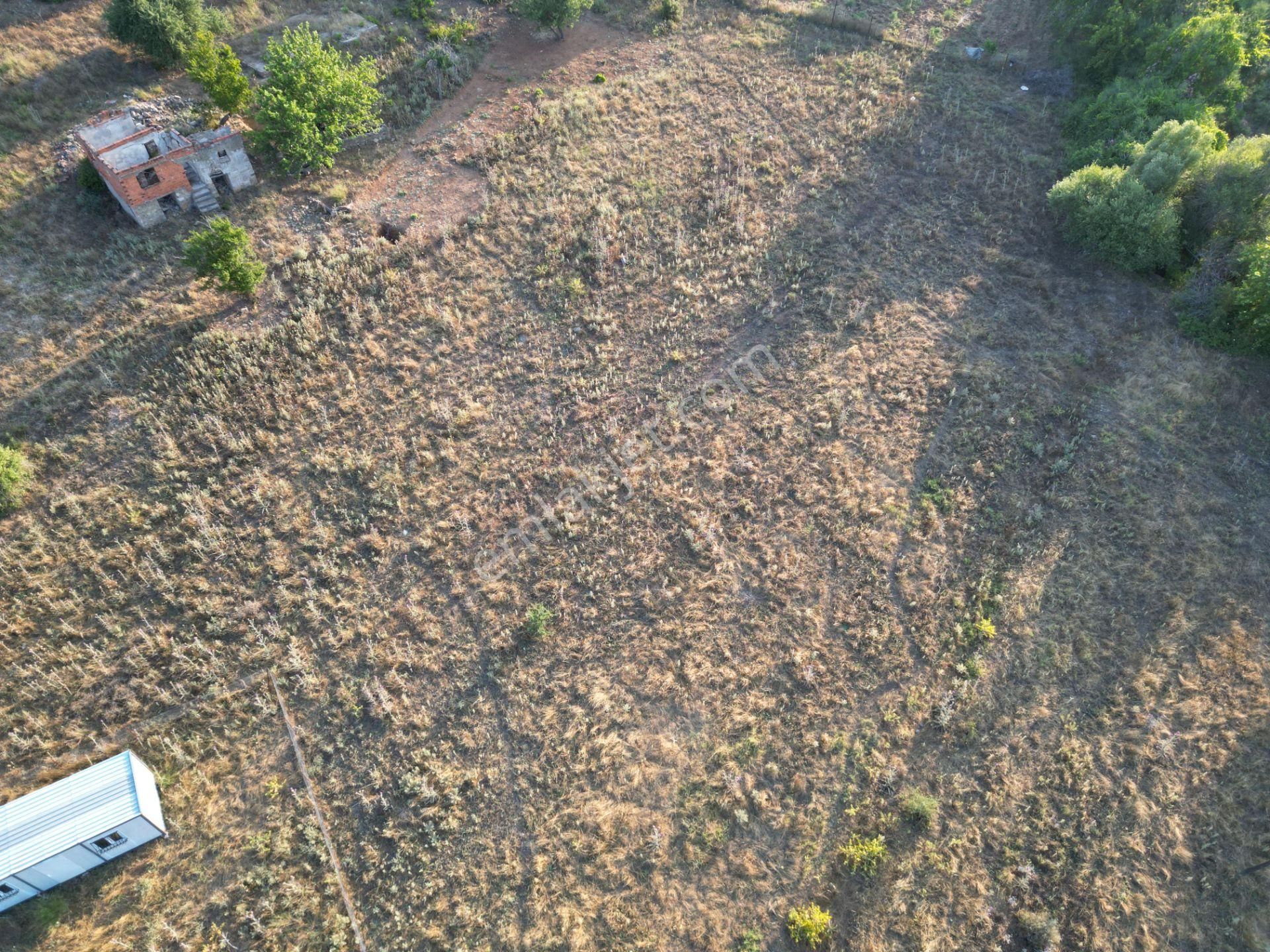 Seferihisar Atatürk Mah. Ürkmez Yolu Ve Denize Yakın Kupon Arsa - Görsel 5