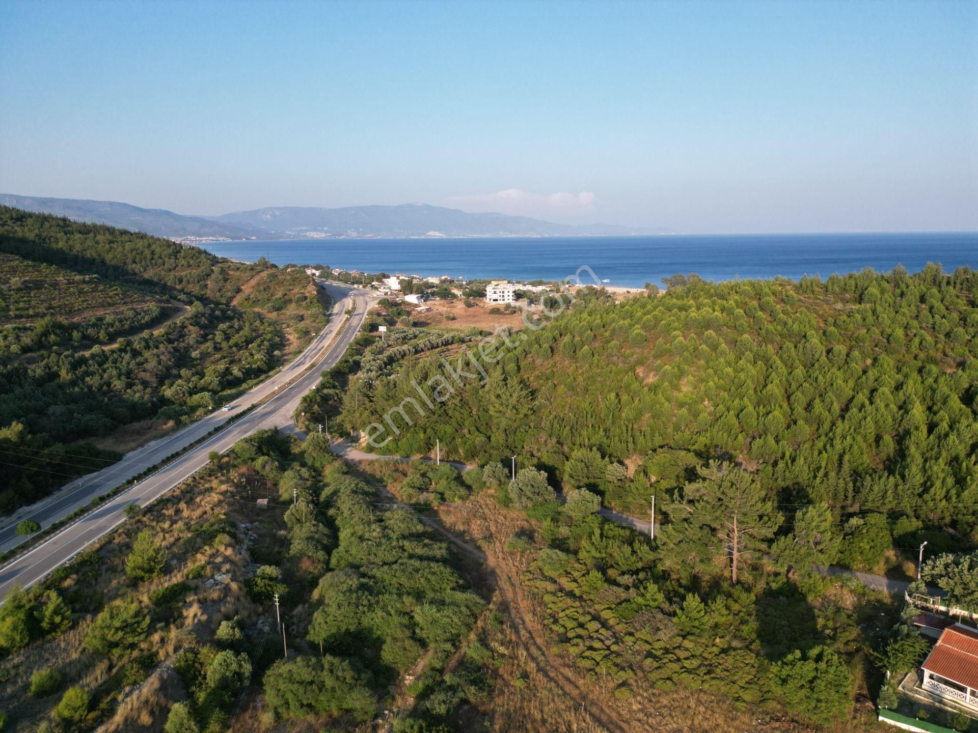 Seferihisar Atatürk Mah. Ürkmez Yolu Ve Denize Yakın Kupon Arsa - Görsel 3