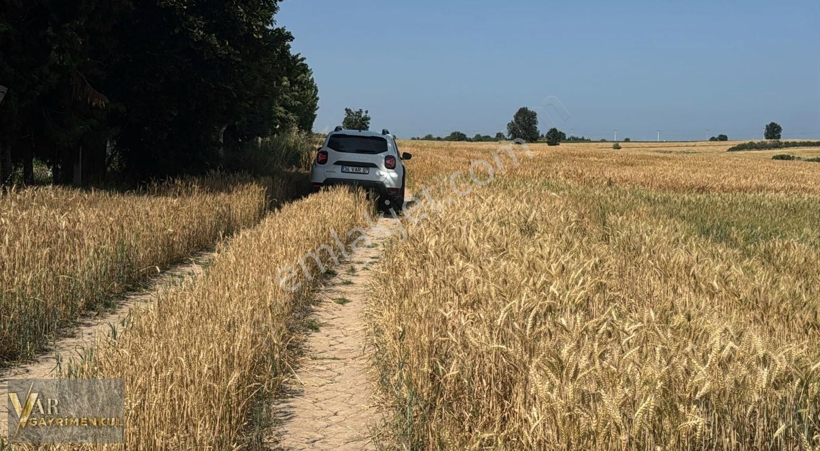 Tekirdağ Kapaklı Pınarça Satılık Fırsat Tek Tapu Tarla