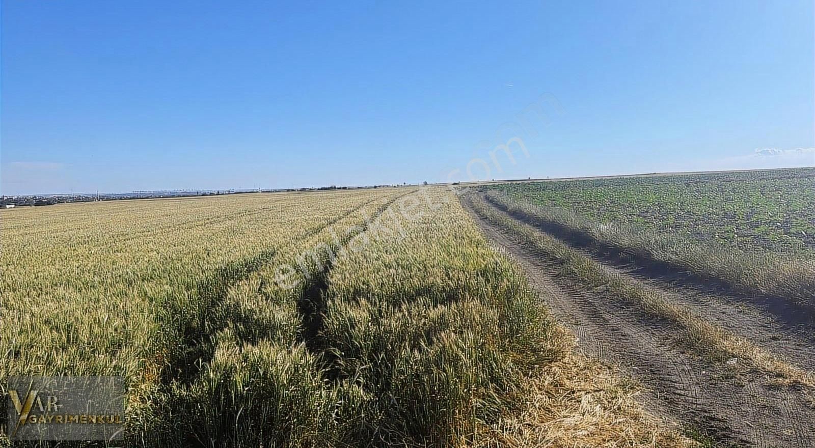 Tekirdağ Kapaklı Yanıkağılda Satılık 220 M2 Satılık Parsel