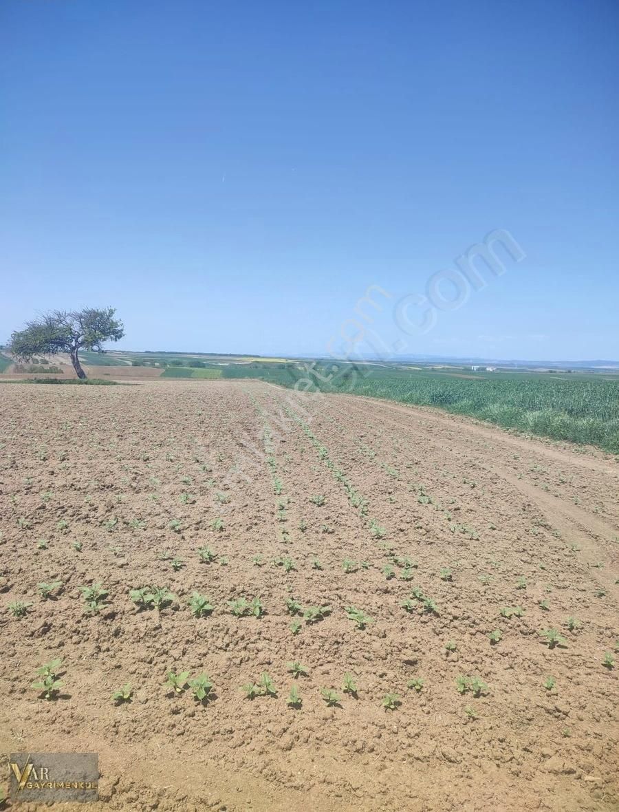 Tekirdağ Saray Kurtdere De Satılık Tek Tapu 2.495m2 Tarla