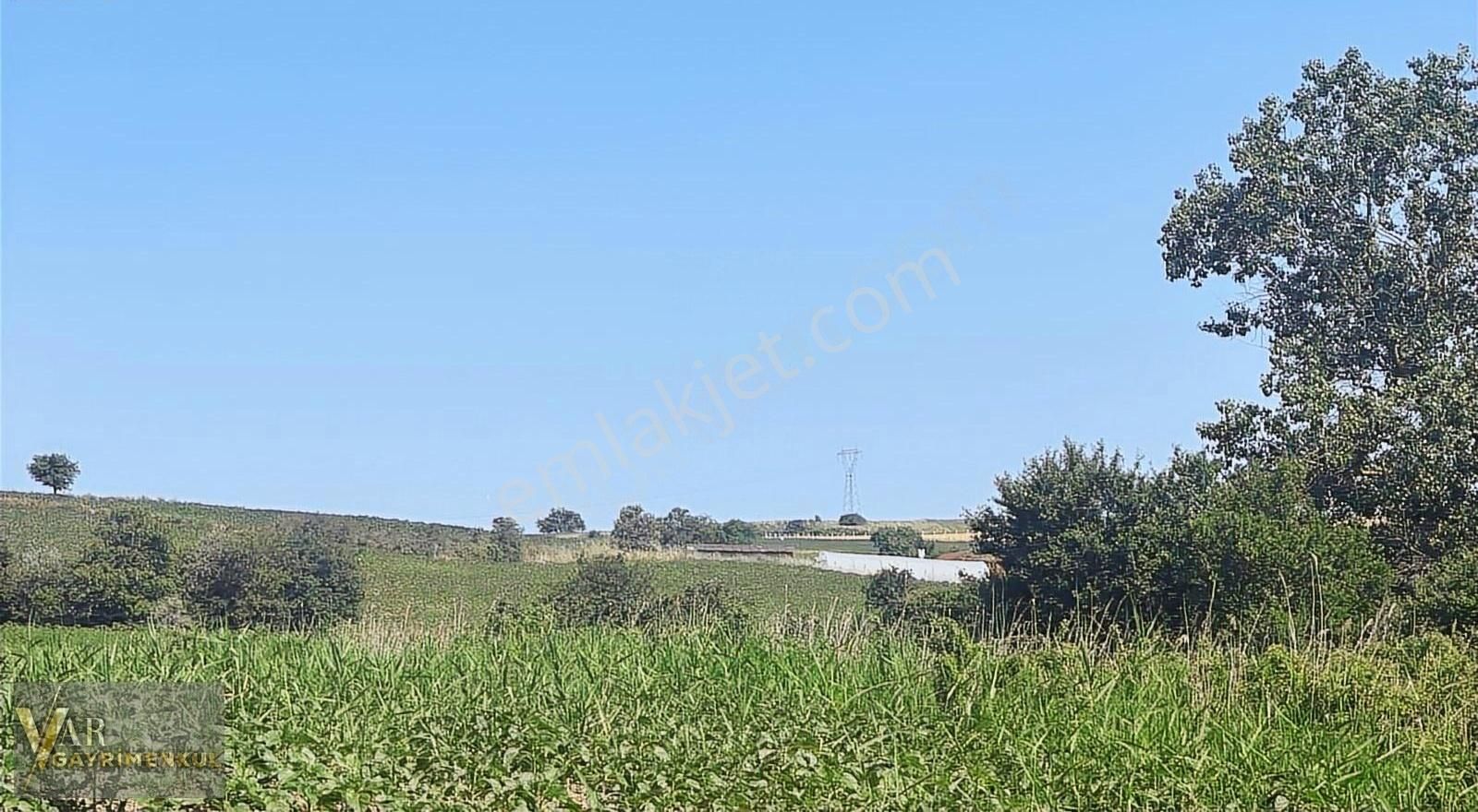 Tekirdağ Çerkezköy Kızılpınarda 310m2 Satılık Hisseli Parsel