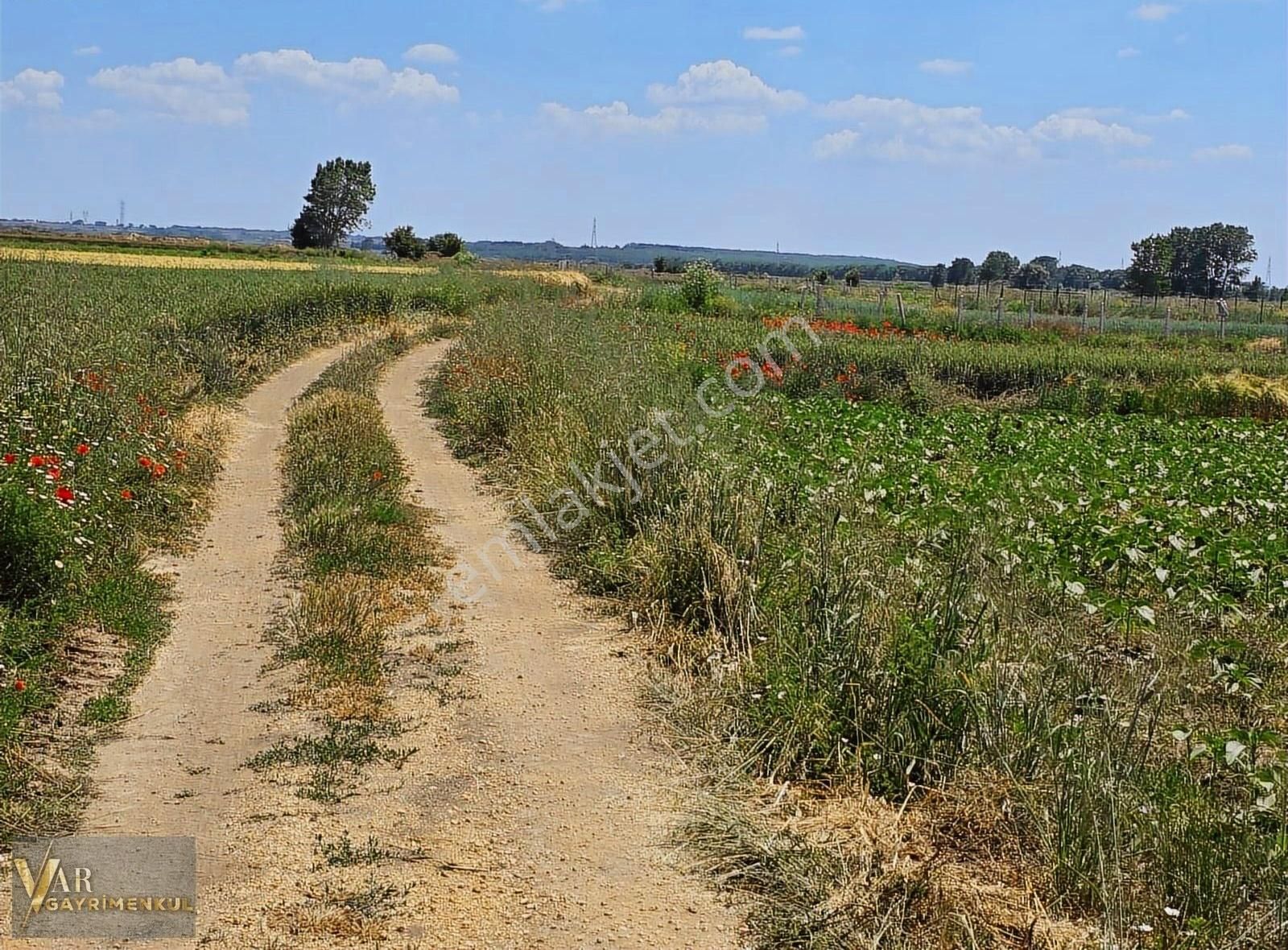 Kırklareli Vize Evrenli Satılık Fırsat Tarladan 256m2 Hisse