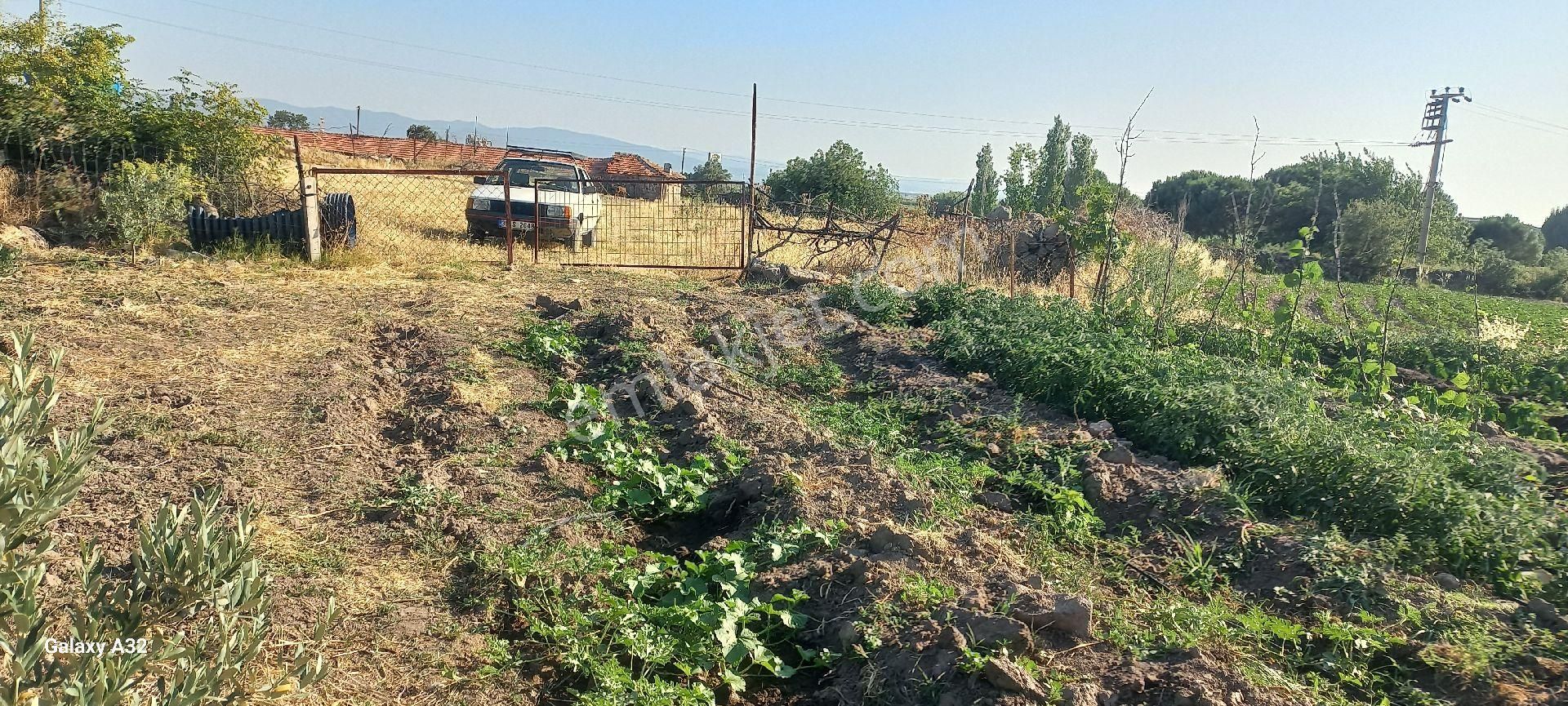 Satılık Müstakiltapu Zeytinlik - Görsel 4