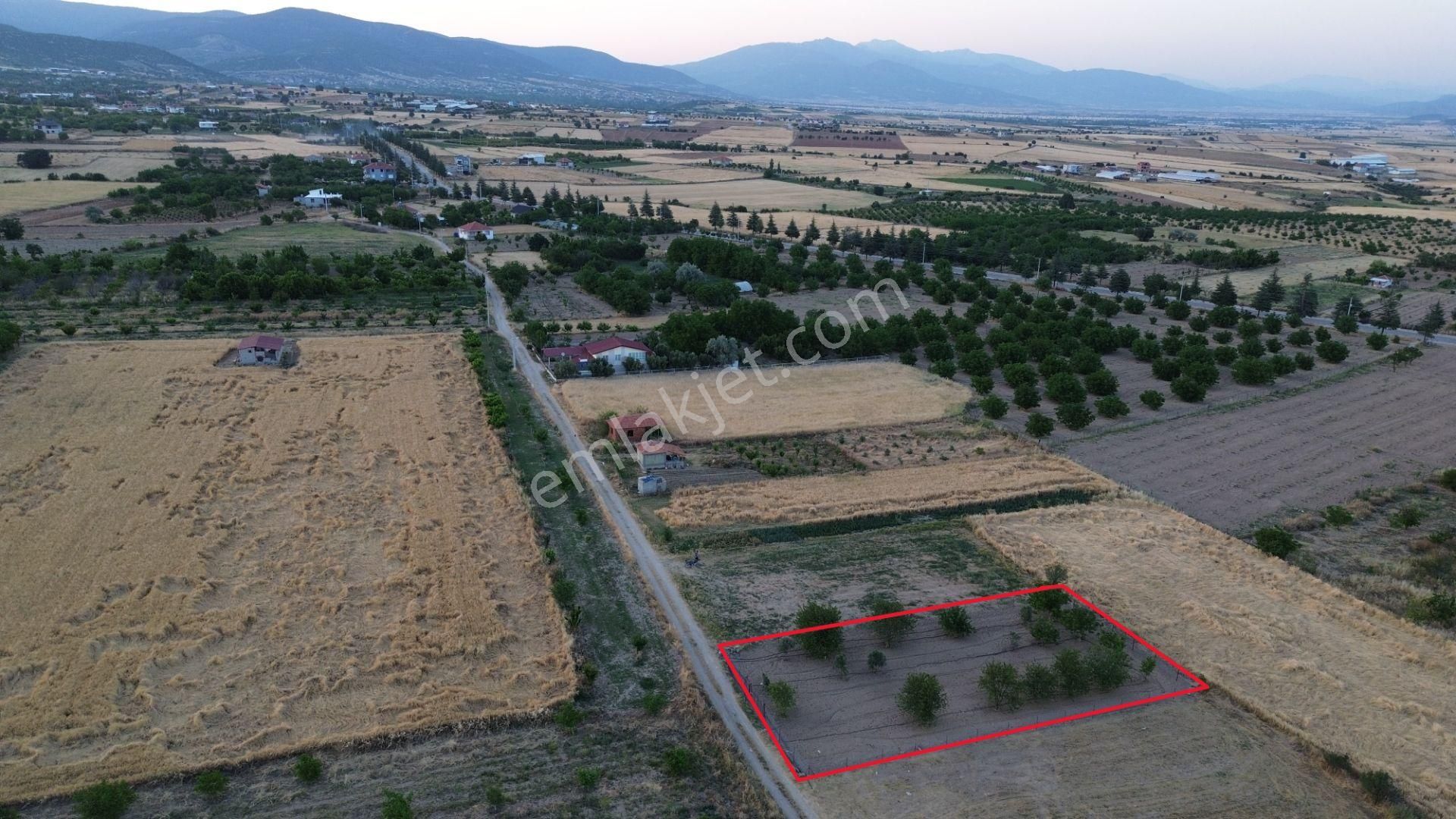 Korkuteli Yeltende 904 M2 Köyün Giriş Bölgesinde Hazır Sulama Sahası İçerisinde - Görsel 10