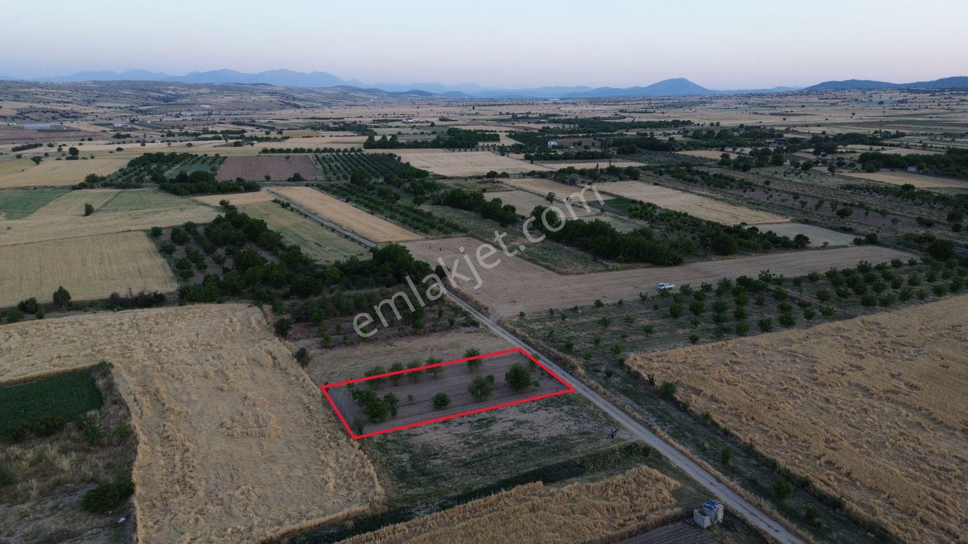 Korkuteli Yeltende 904 M2 Köyün Giriş Bölgesinde Hazır Sulama Sahası İçerisinde - Görsel 6