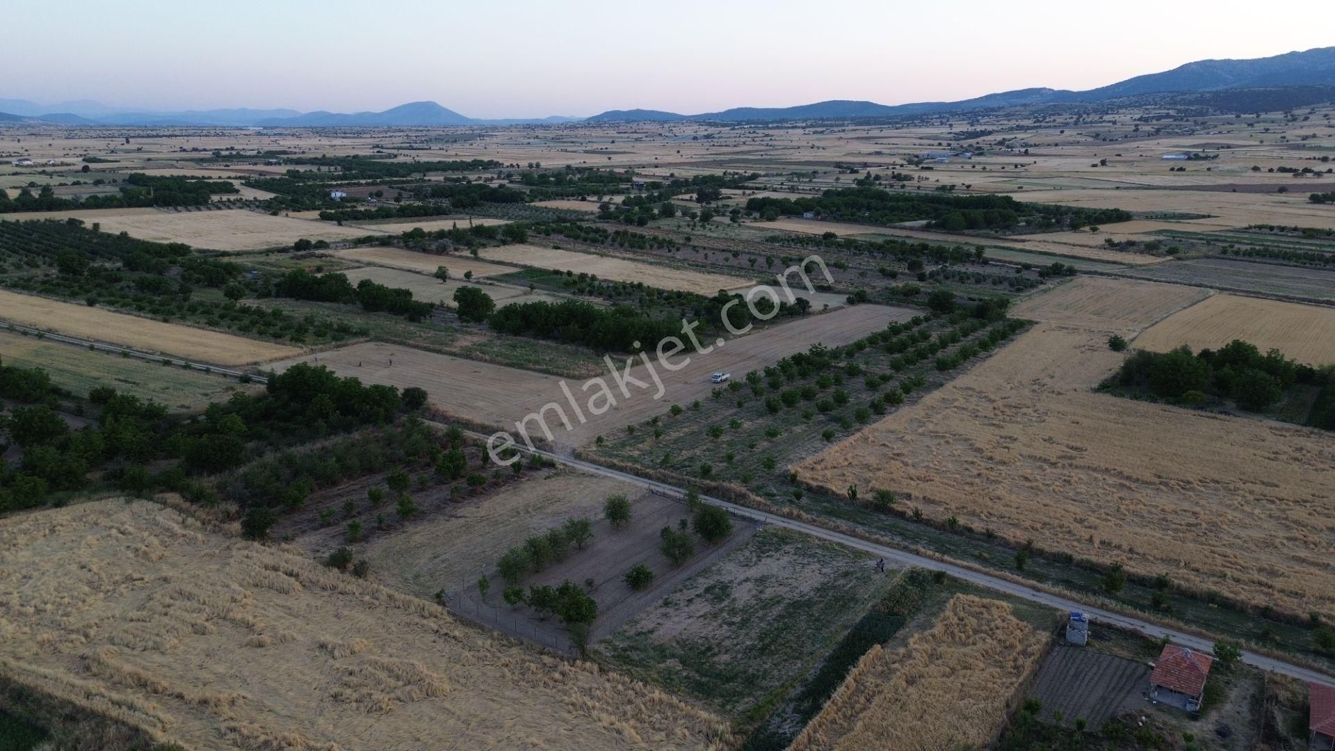 Korkuteli Yeltende 904 M2 Köyün Giriş Bölgesinde Hazır Sulama Sahası İçerisinde - Görsel 5