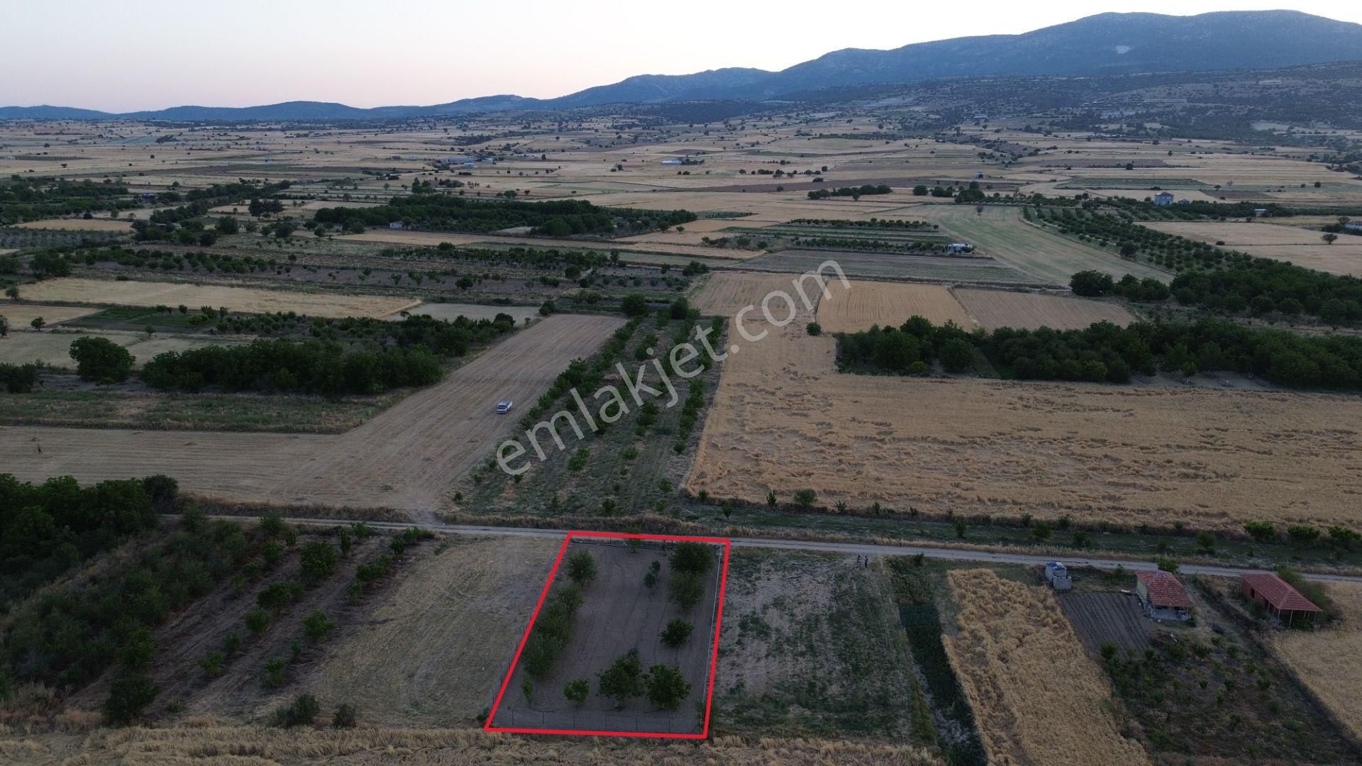 Korkuteli Yeltende 904 M2 Köyün Giriş Bölgesinde Hazır Sulama Sahası İçerisinde - Görsel 4