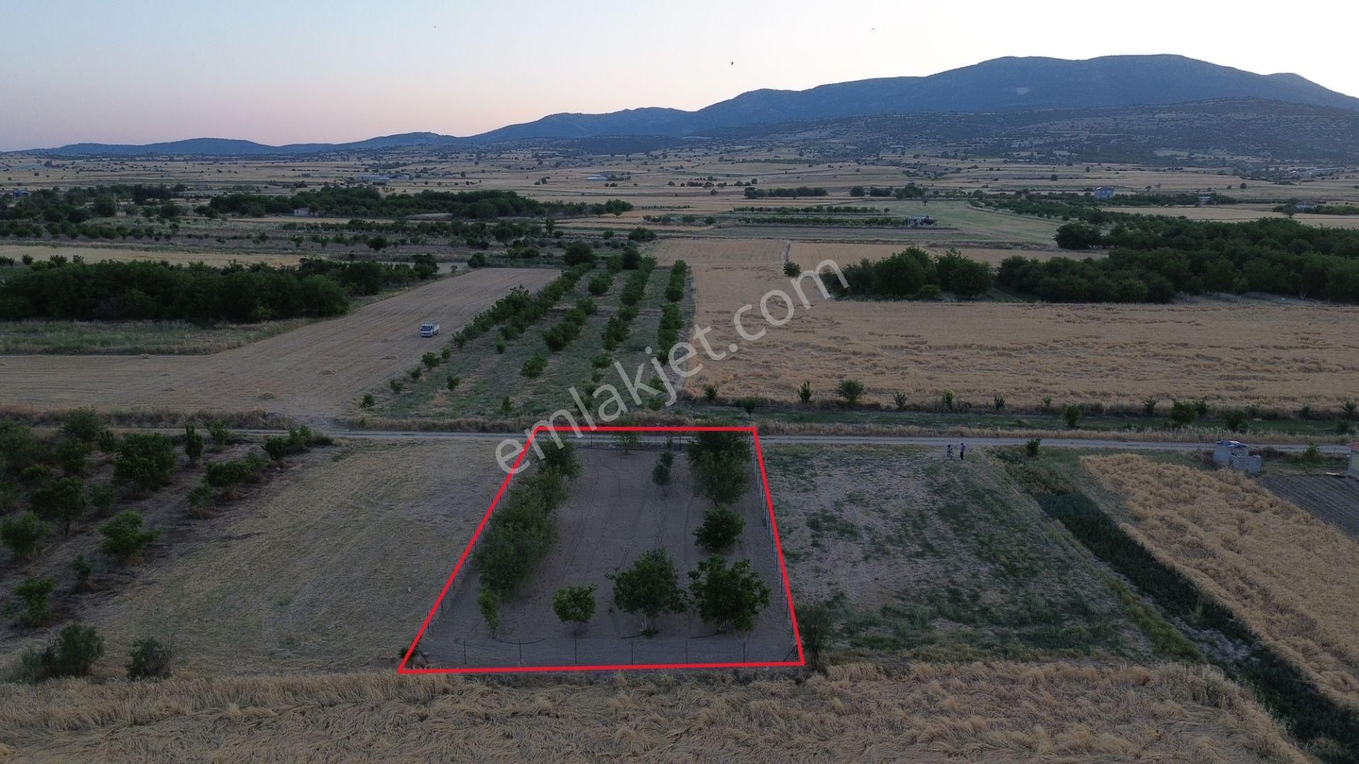 Korkuteli Yeltende 904 M2 Köyün Giriş Bölgesinde Hazır Sulama Sahası İçerisinde - Görsel 3