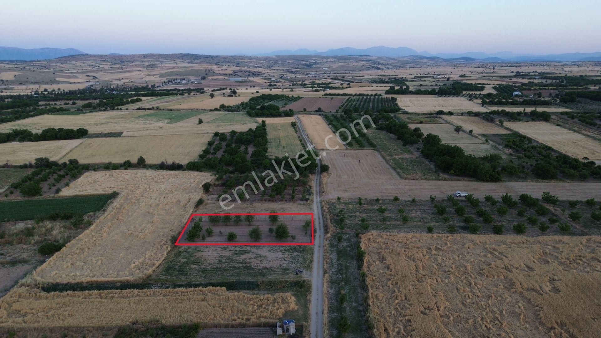 Korkuteli Yeltende 904 M2 Köyün Giriş Bölgesinde Hazır Sulama Sahası İçerisinde - Görsel 7