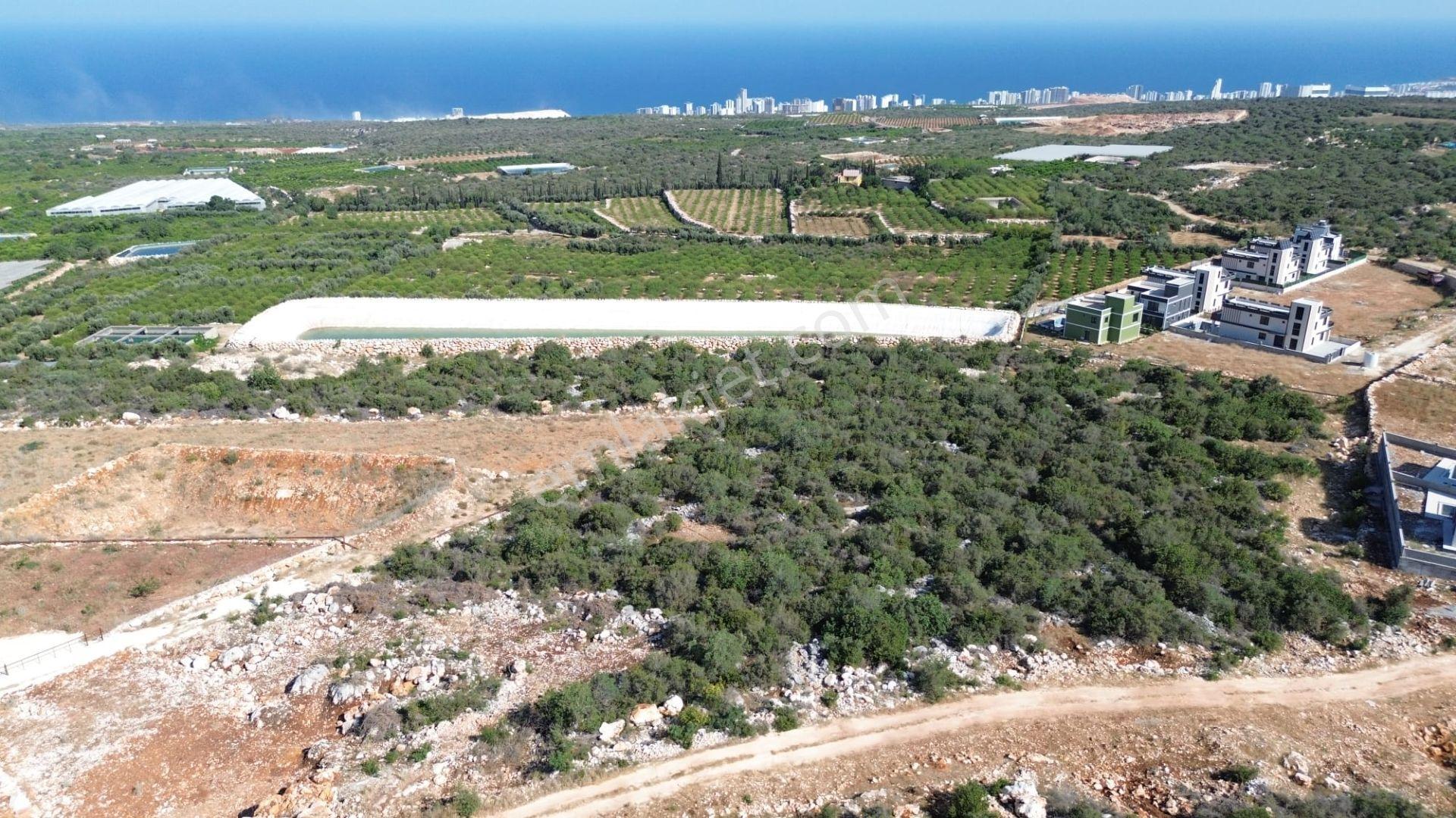 Kumkuyu Merkez' De Yatırım Fırsatı Villa İmarlı Arsa... - Görsel 11