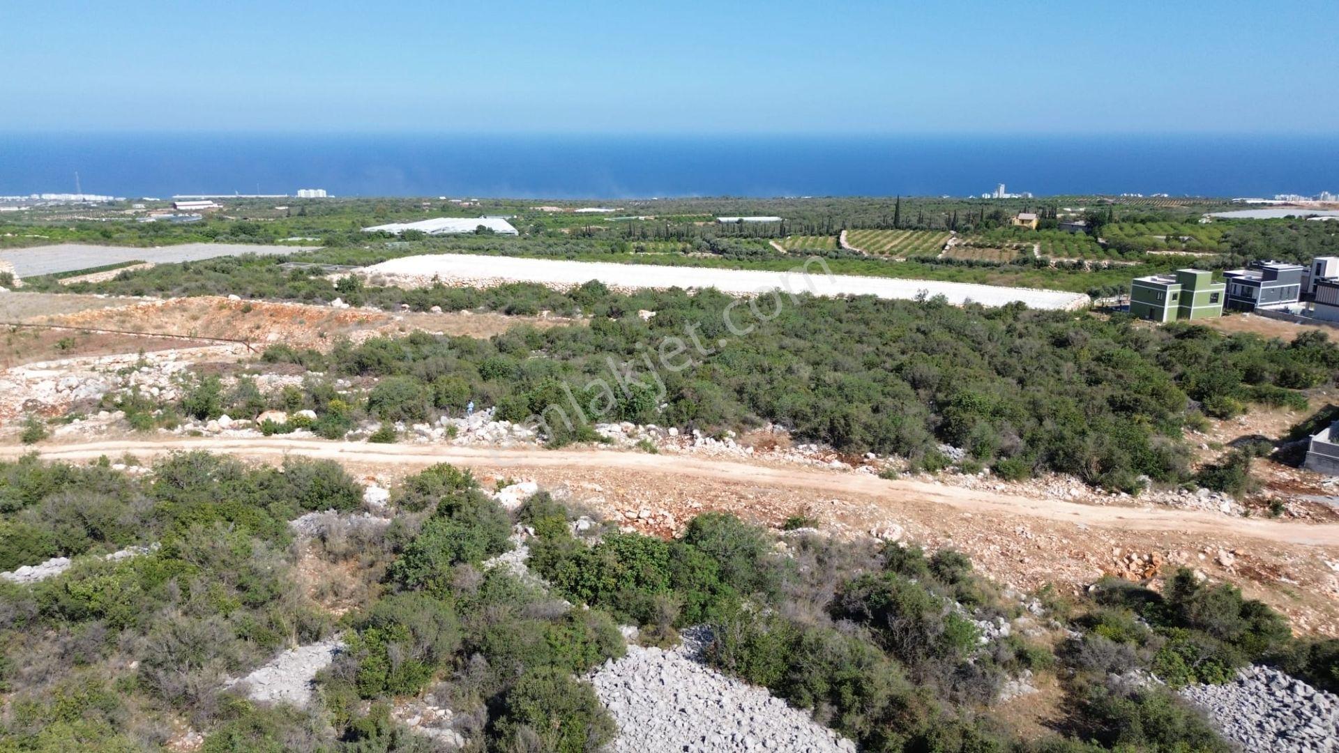 Kumkuyu Merkez' De Yatırım Fırsatı Villa İmarlı Arsa... - Görsel 7