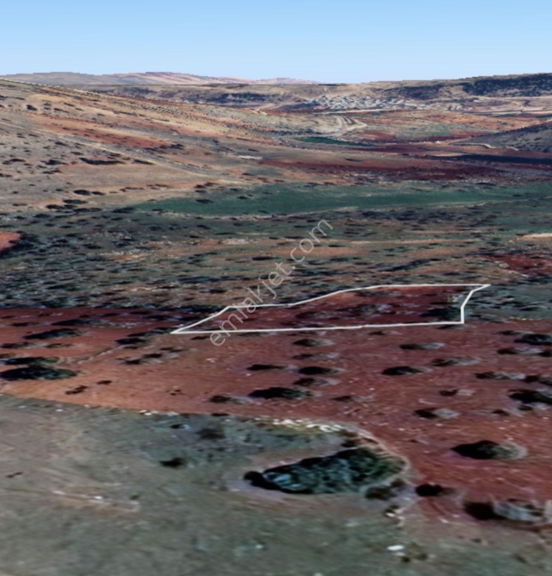 Şehitkamil Yığınlı Da 2.510 M² Tek Tapu Fıstıklık - Görsel 20