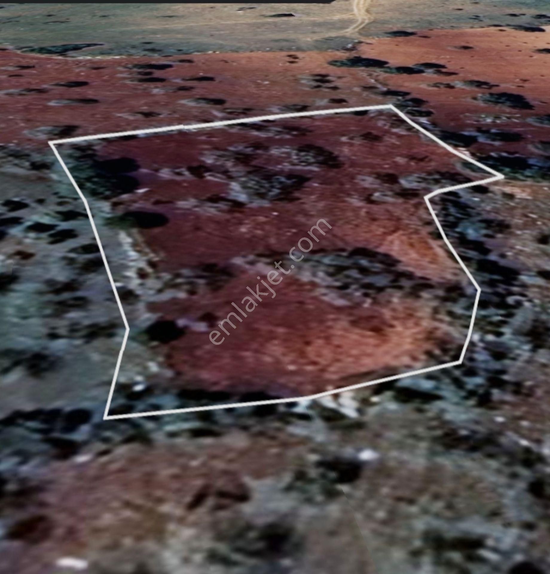 Şehitkamil Yığınlı Da 2.510 M² Tek Tapu Fıstıklık - Görsel 14