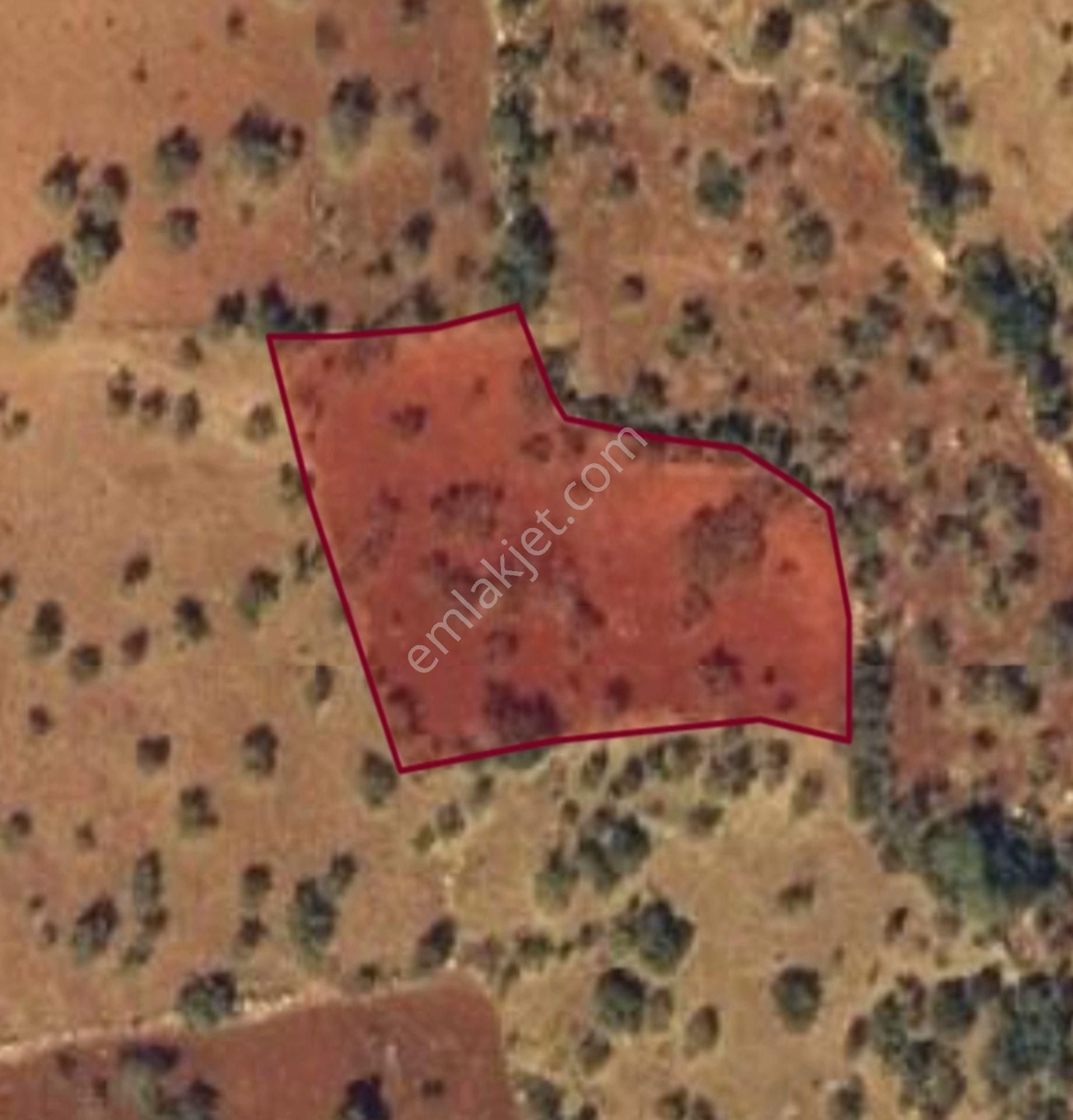 Şehitkamil Yığınlı Da 2.510 M² Tek Tapu Fıstıklık - Görsel 3